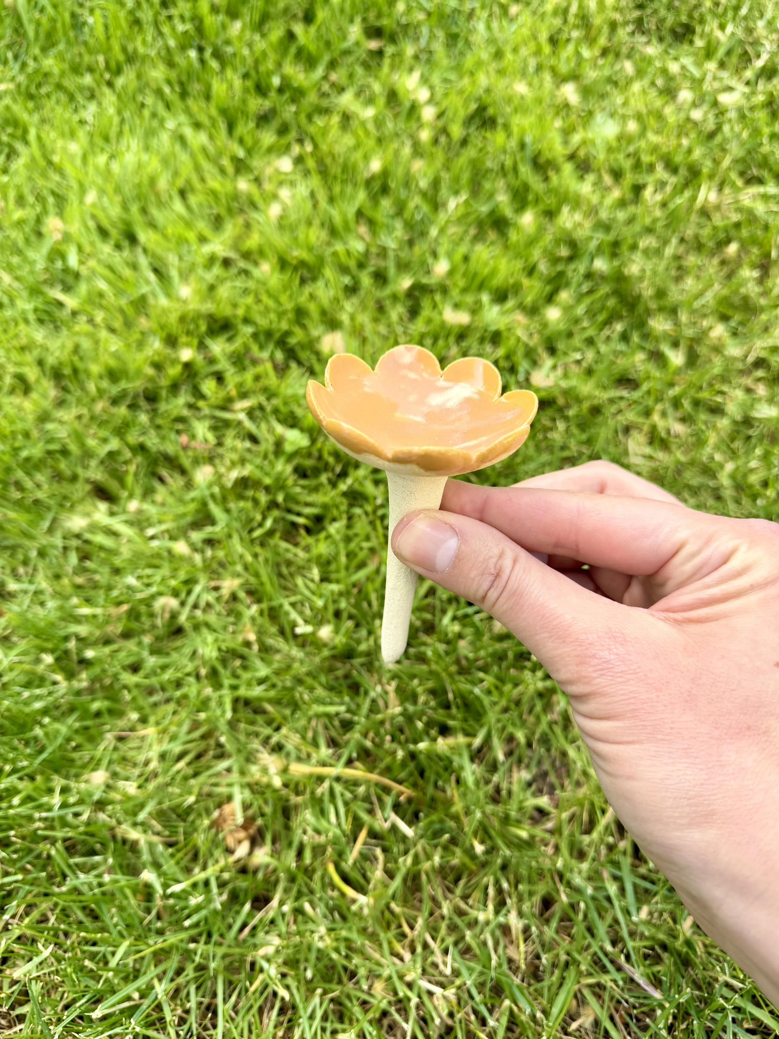 Bee Cup