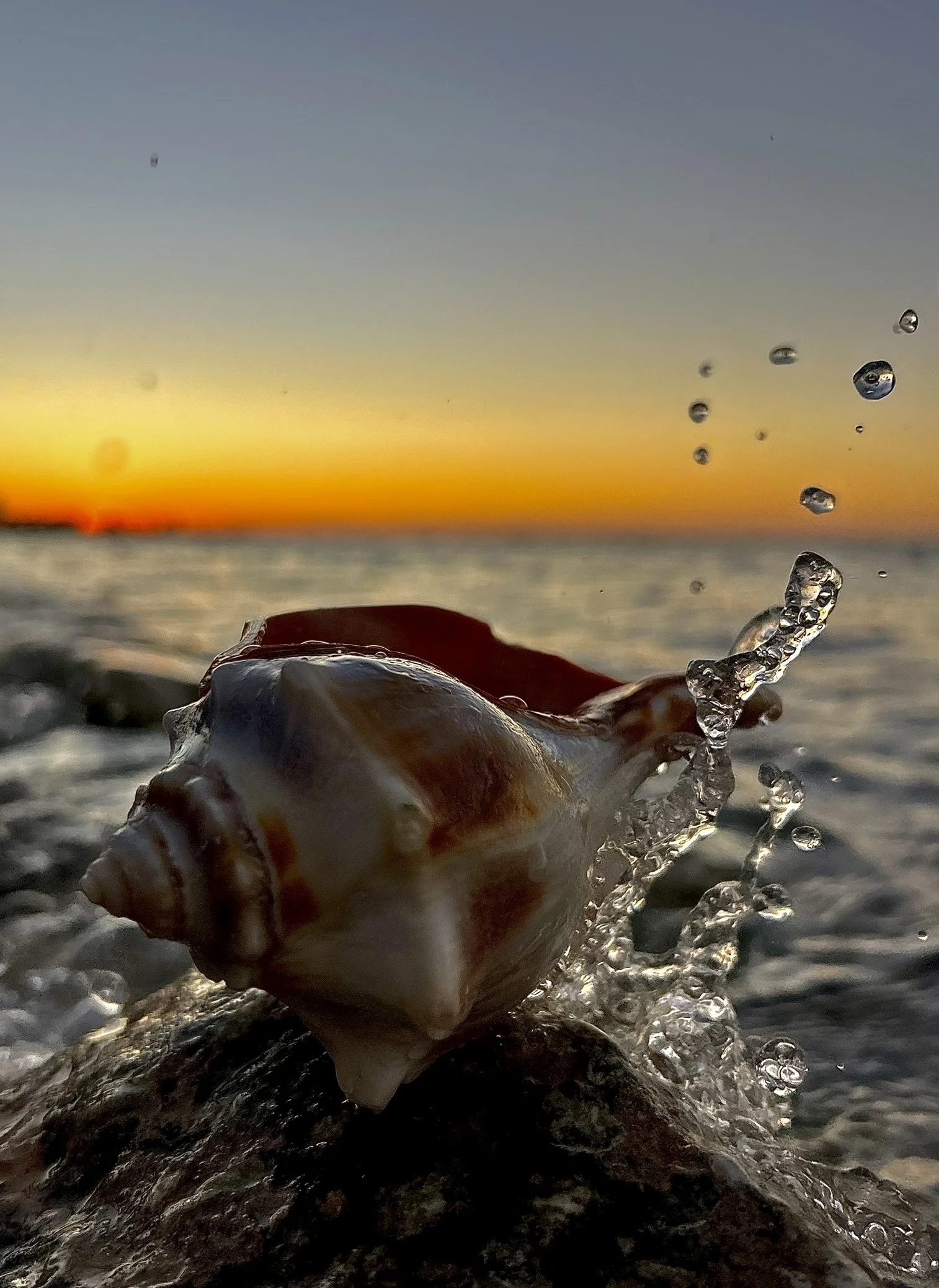 IMG_5391 - Copy.JPEG