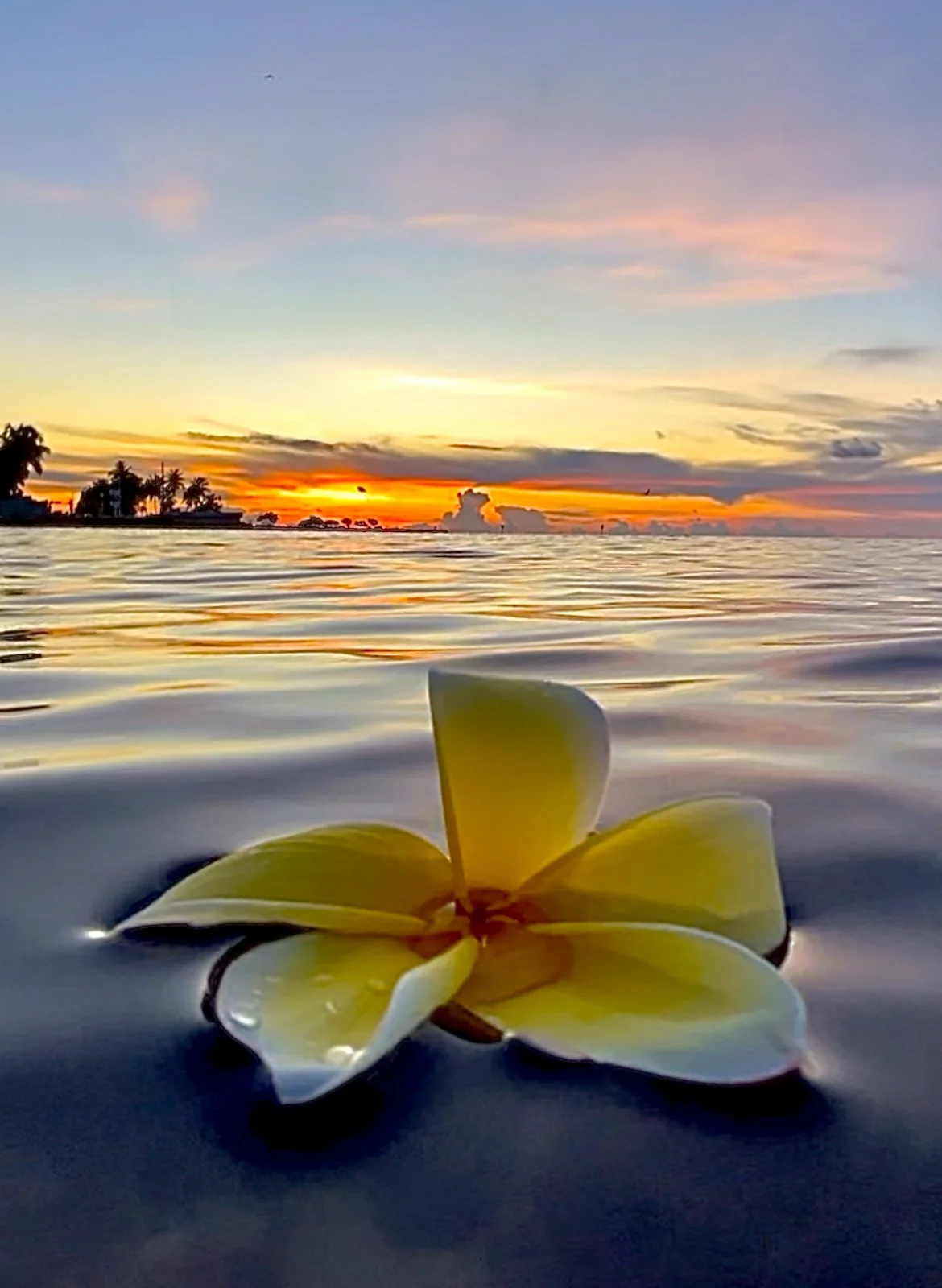 IMG_5262 - Copy.JPEG