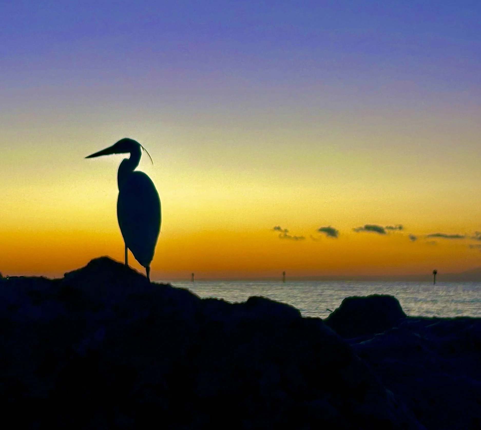 IMG_4577 - Copy.JPEG