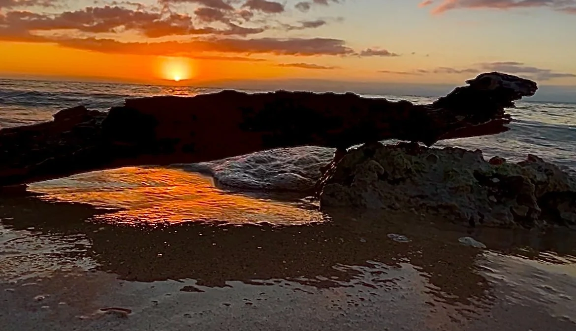 IMG_3615 - Copy.JPEG