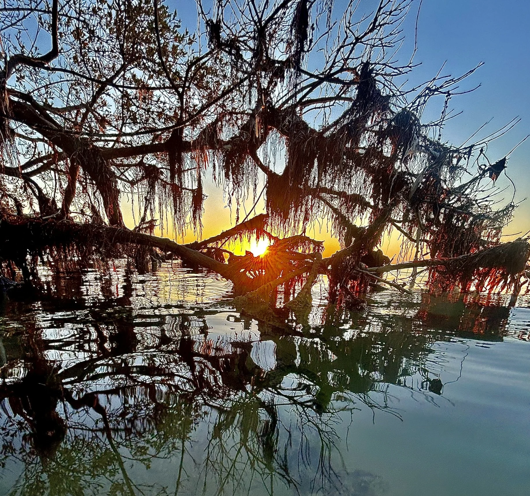 IMG_2229 - Copy.JPEG