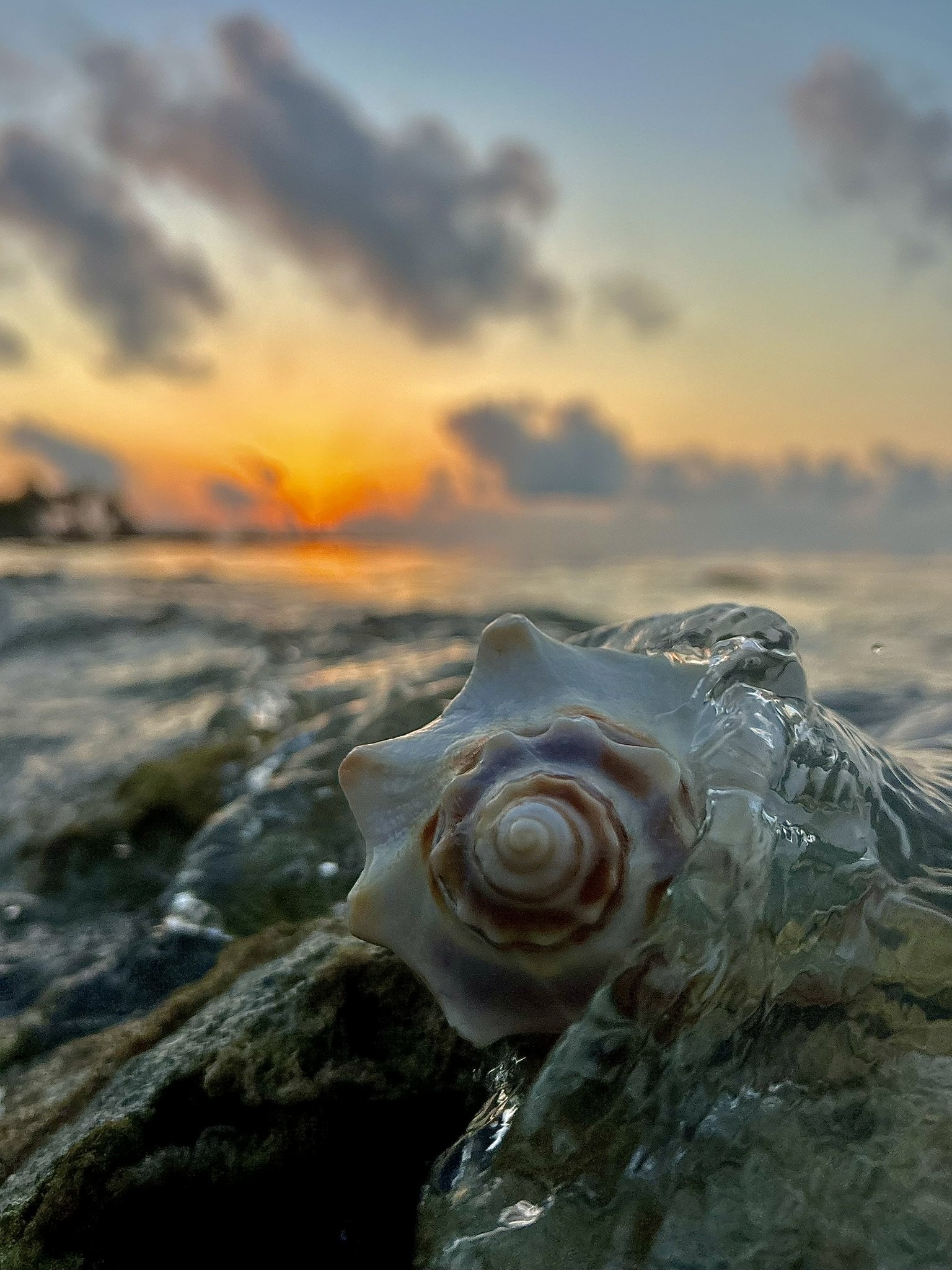 IMG_5177 - Copy.JPEG