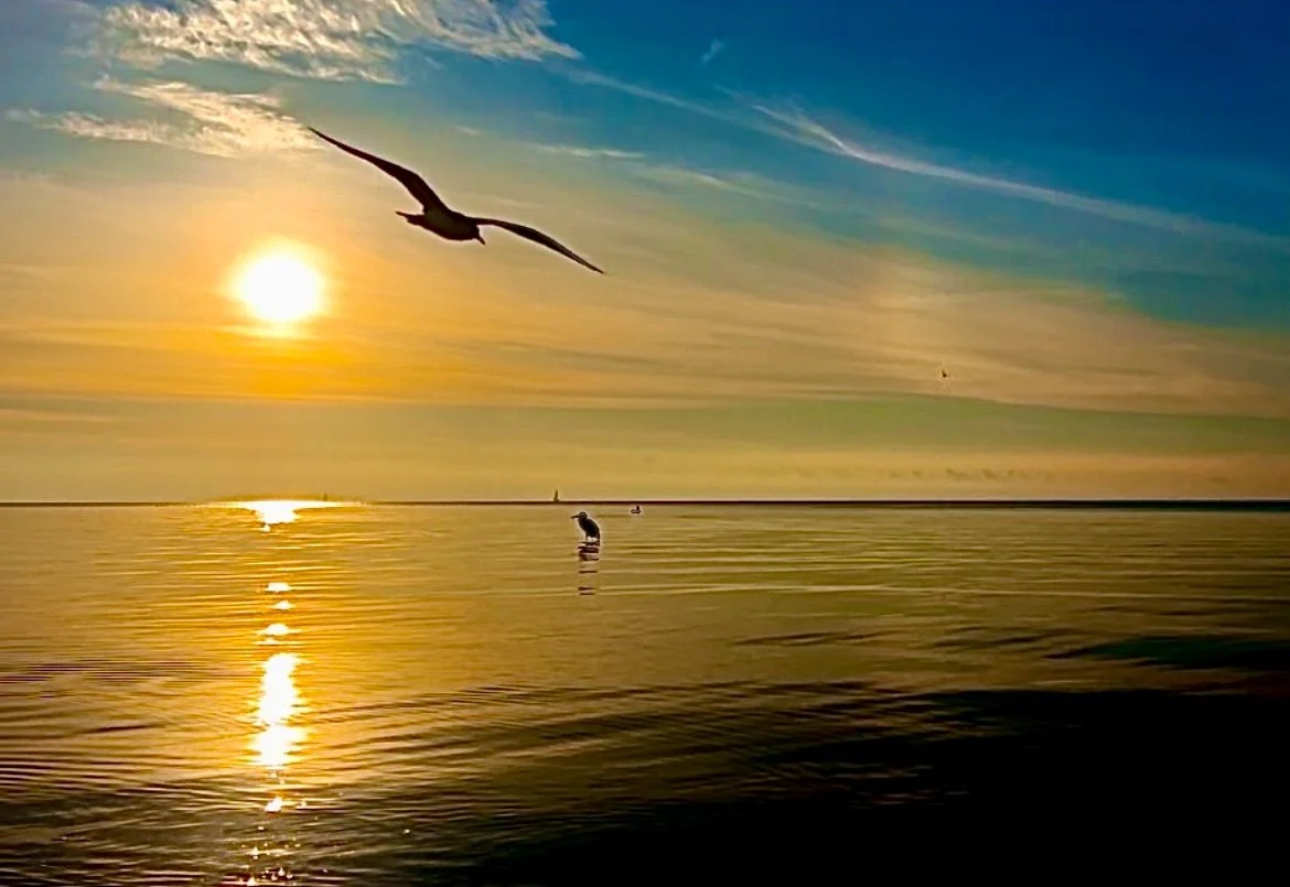 IMG_3300 - Copy.JPEG