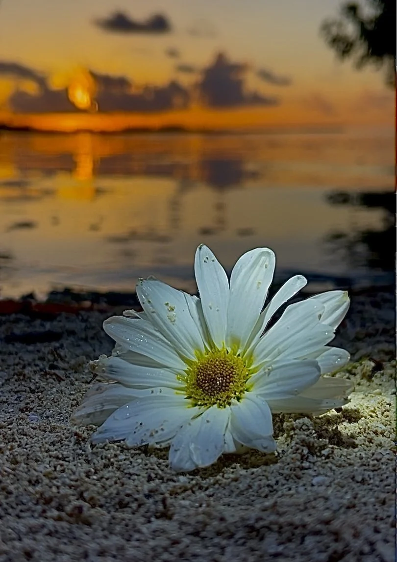 IMG_0590 - Copy.JPEG