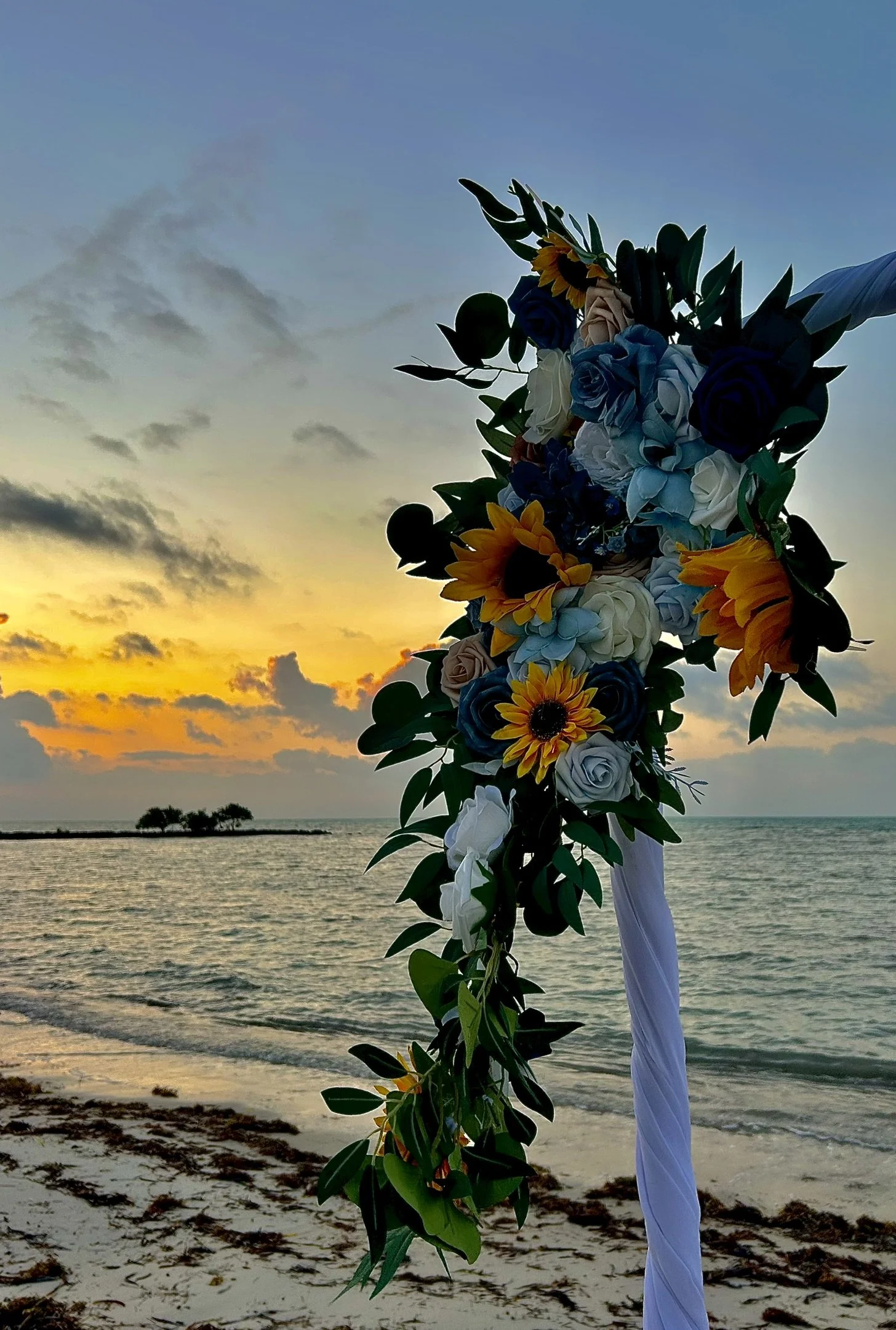 IMG_5254 - Copy.JPEG