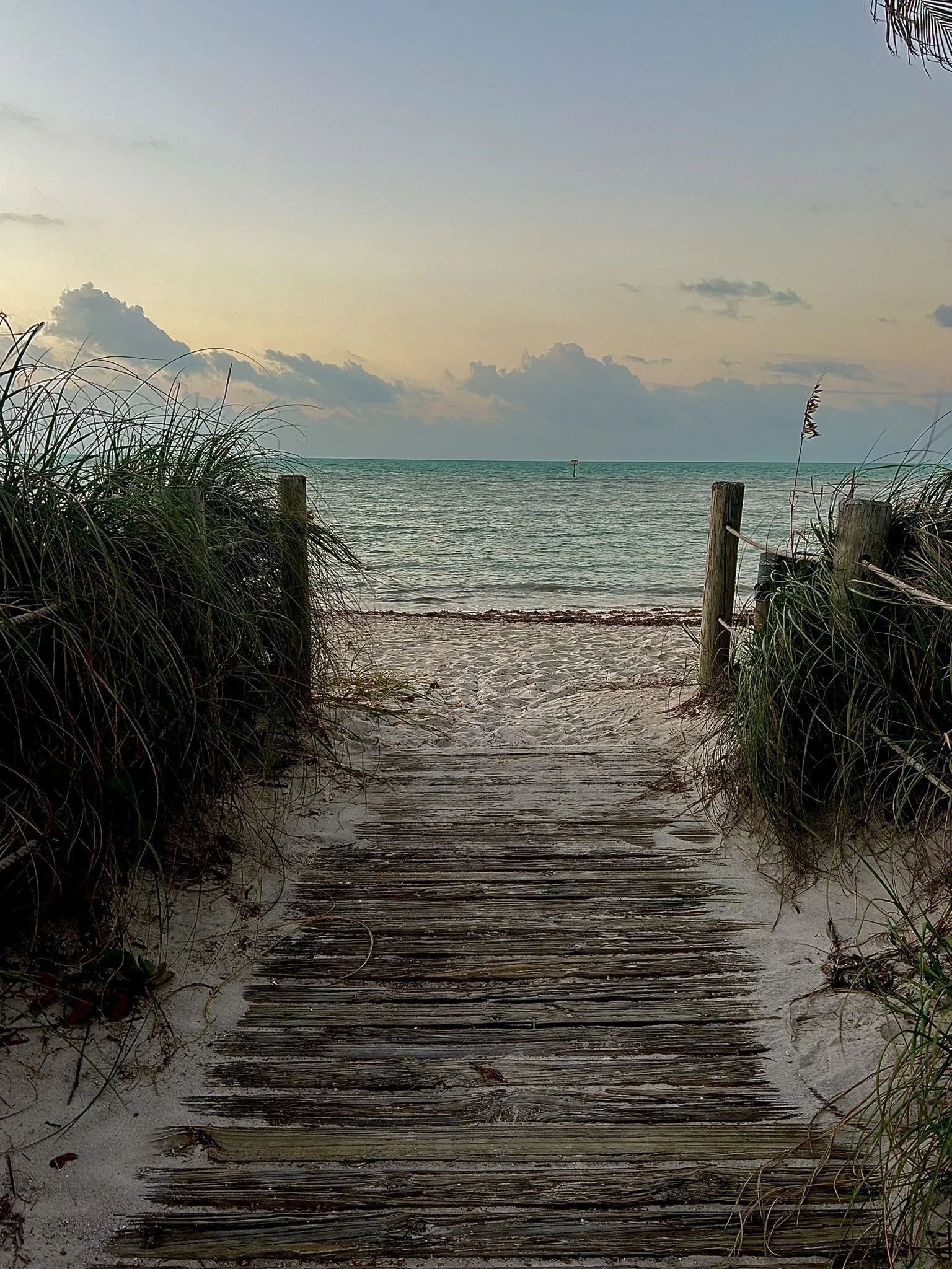 IMG_5249 - Copy.JPEG