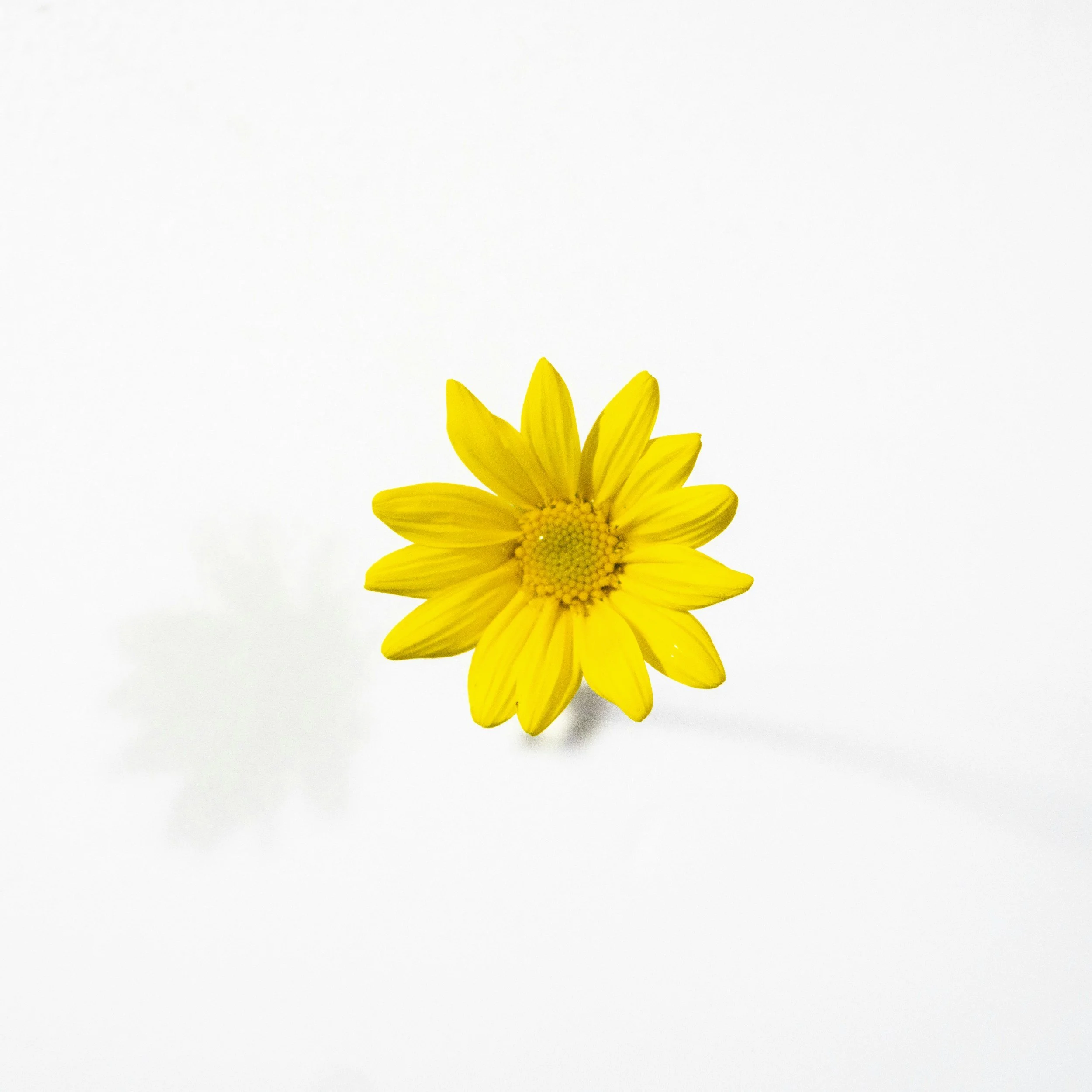 unsplash-image-Mum9_ImH5ko.jpg
