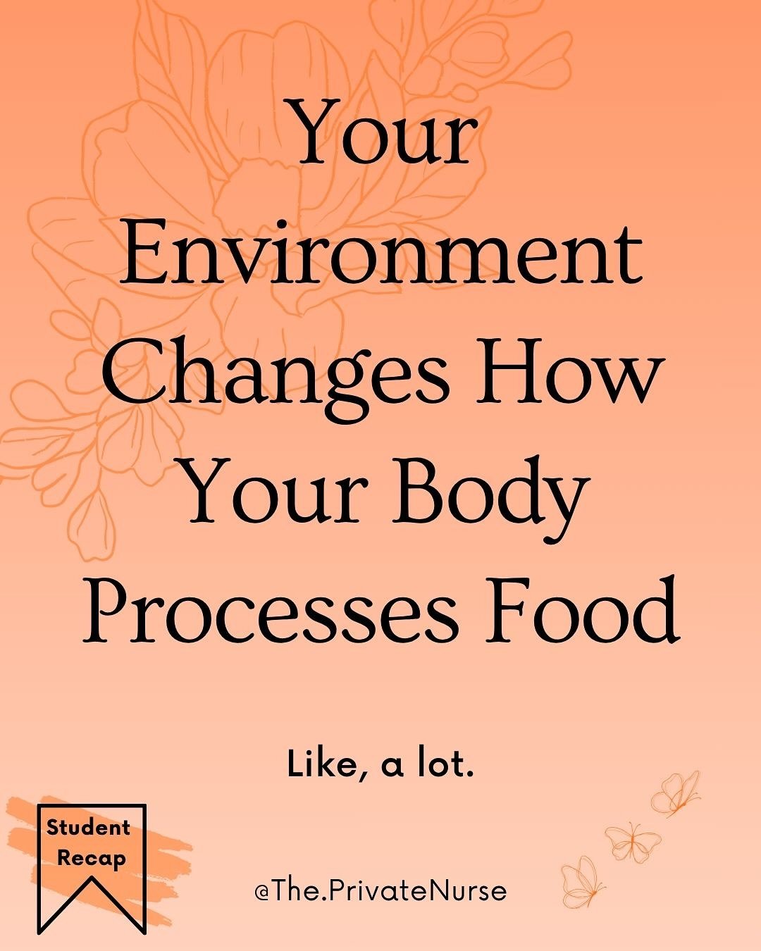 For over a year now, I&rsquo;ve prioritized the majority of my time directly towards living the most healthy and optimized lifestyle possible. I&rsquo;ve learned a lot, things that have really changed my life in ways I didn&rsquo;t expect, and I want