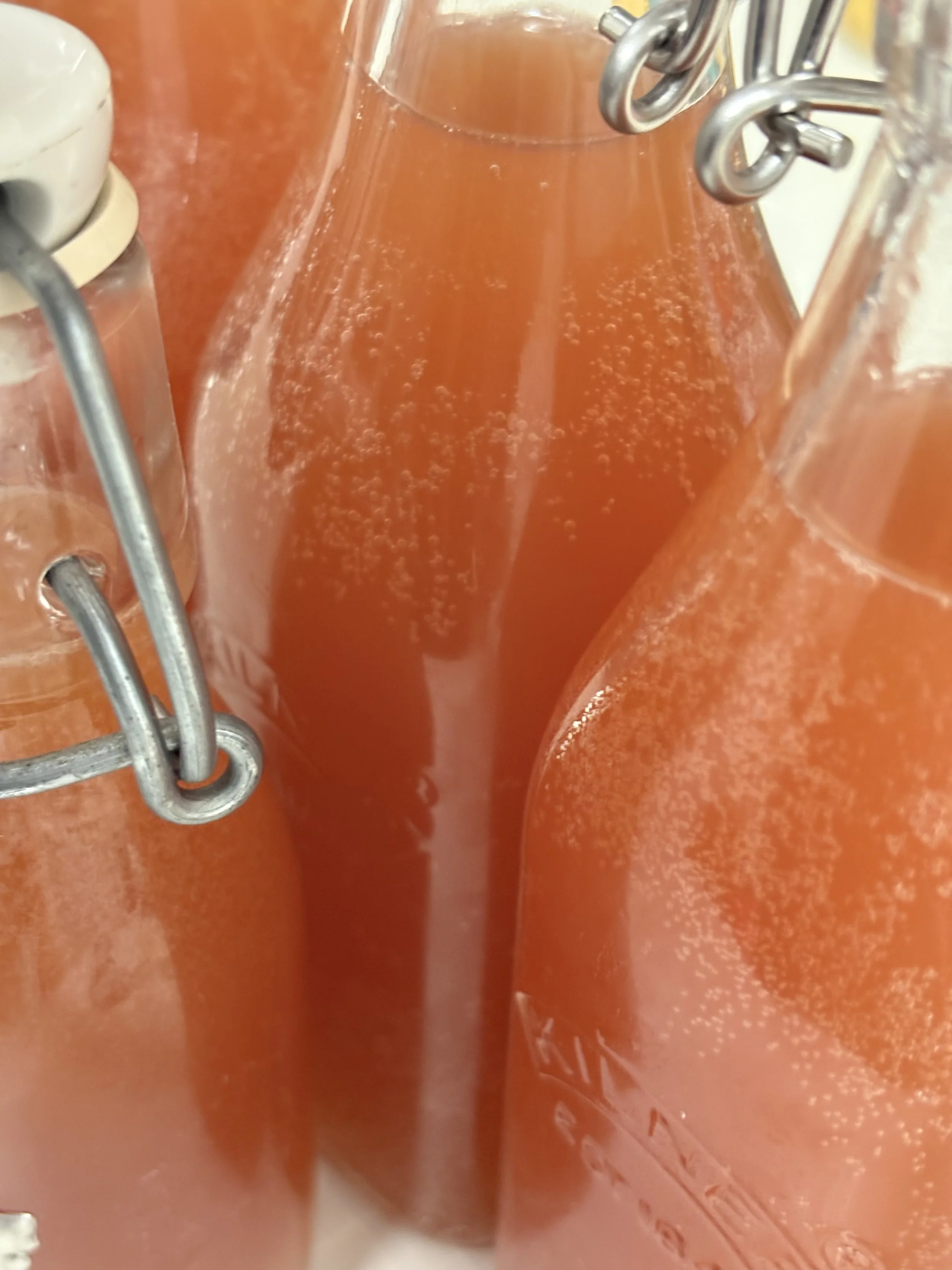 IMG_1058.jpeg (Copy)