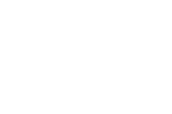 Titelafbeelding met de tekst 'Bars' in wit sierlijk lettertype .