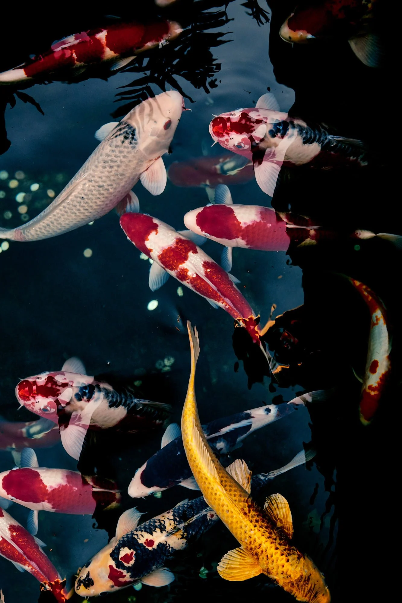 jfp_mpptokyo_2217_Web_JPG Web Squarespace.jpg