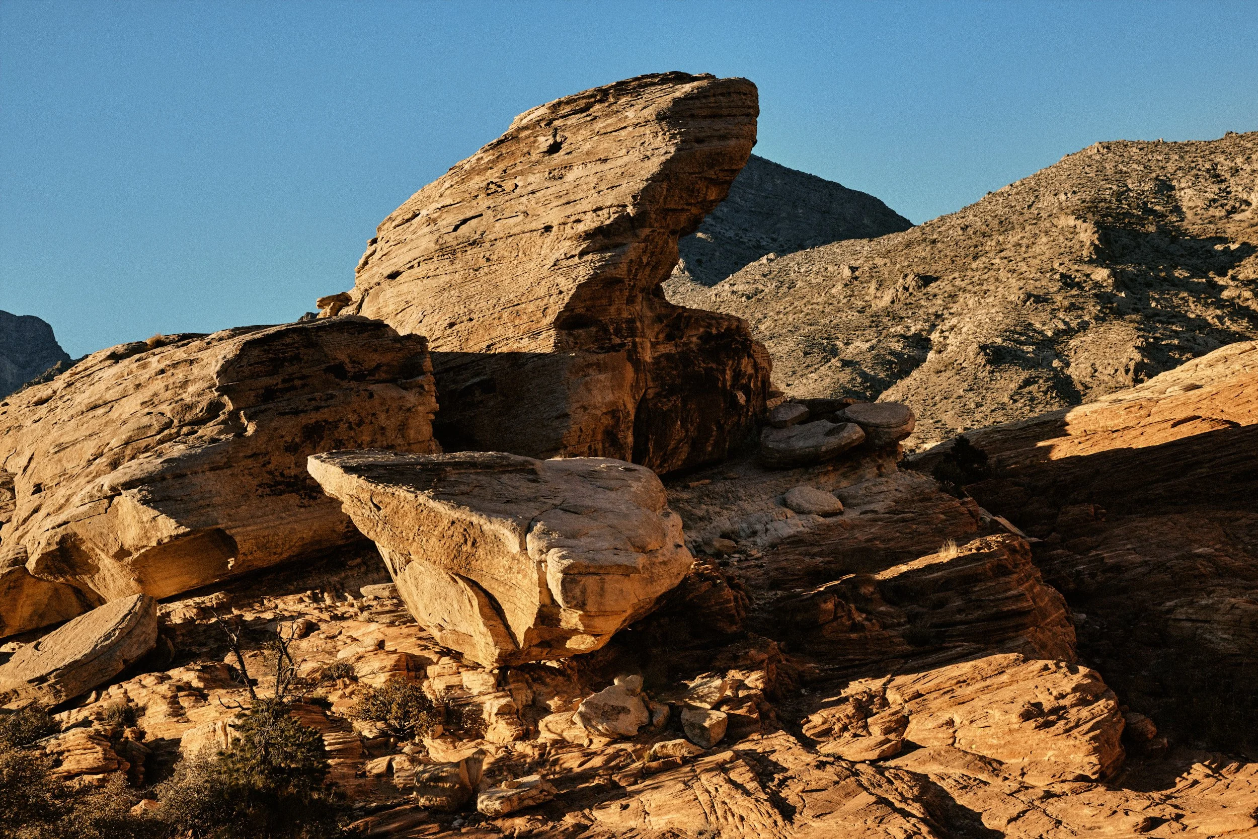 TNF_FW23_Hike_Directive_Friend_0034.jpg