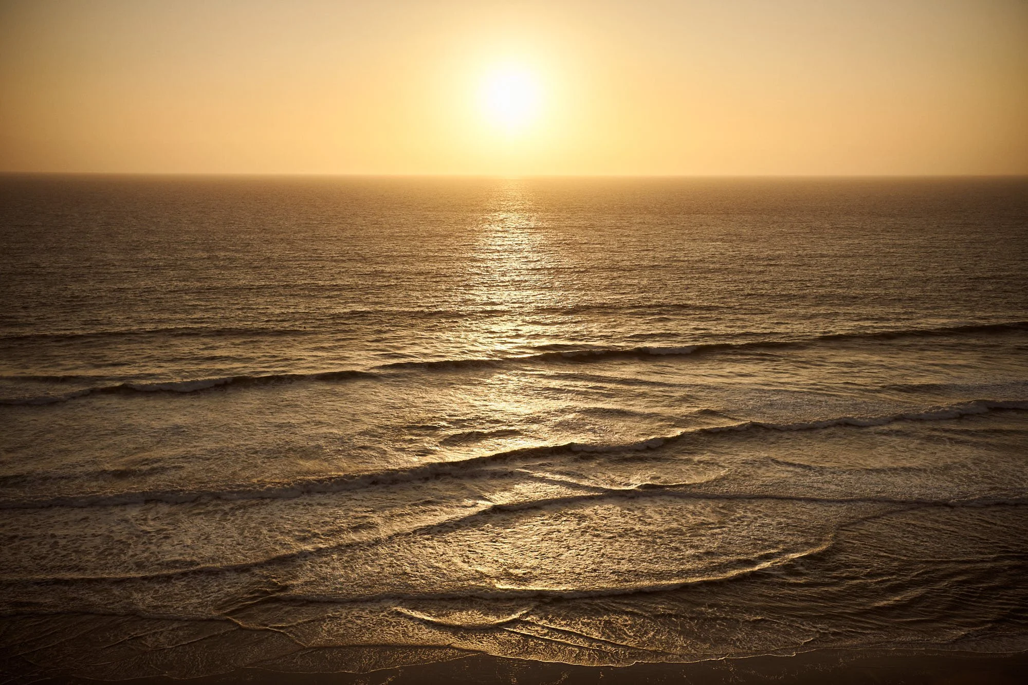 JFP_SF_MaximusParkmerced_Sunset_4094_Web_JPG Web Squarespace.jpg