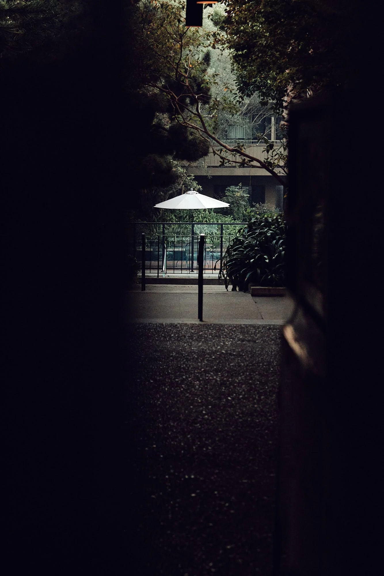 JPF_JSSSFNov2018_Bush_00689_Web 1_JPG Web Squarespace.jpg