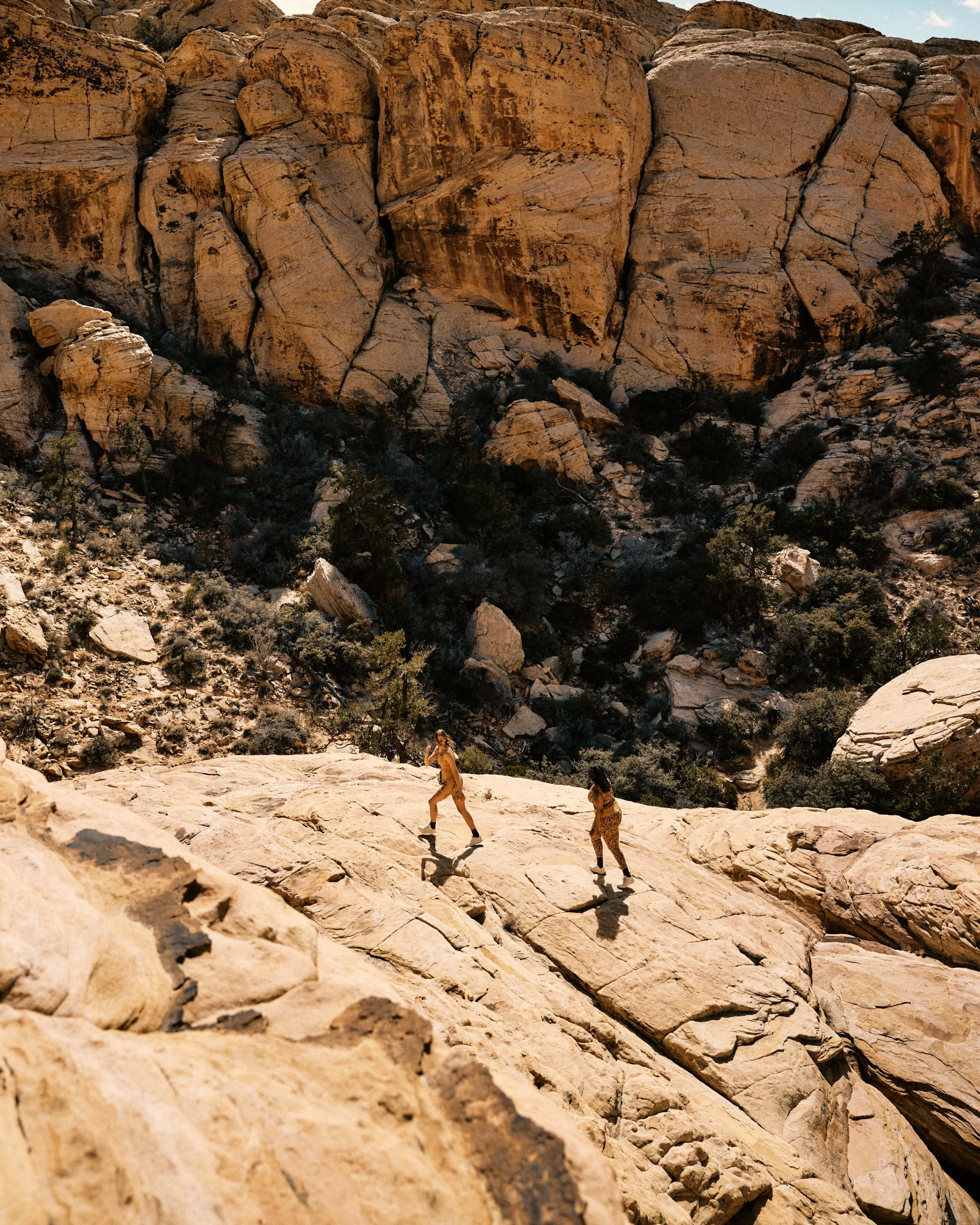 TNF_FW23_Hike_Directive_Friend_0010 1.jpg
