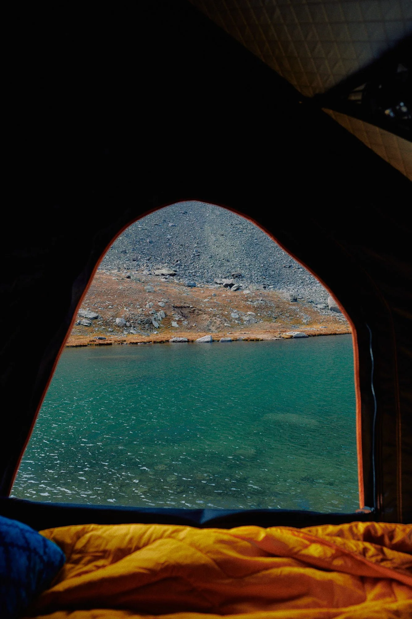 AlpineeLoop2020_0336_Web_JPG Web Squarespace.jpg