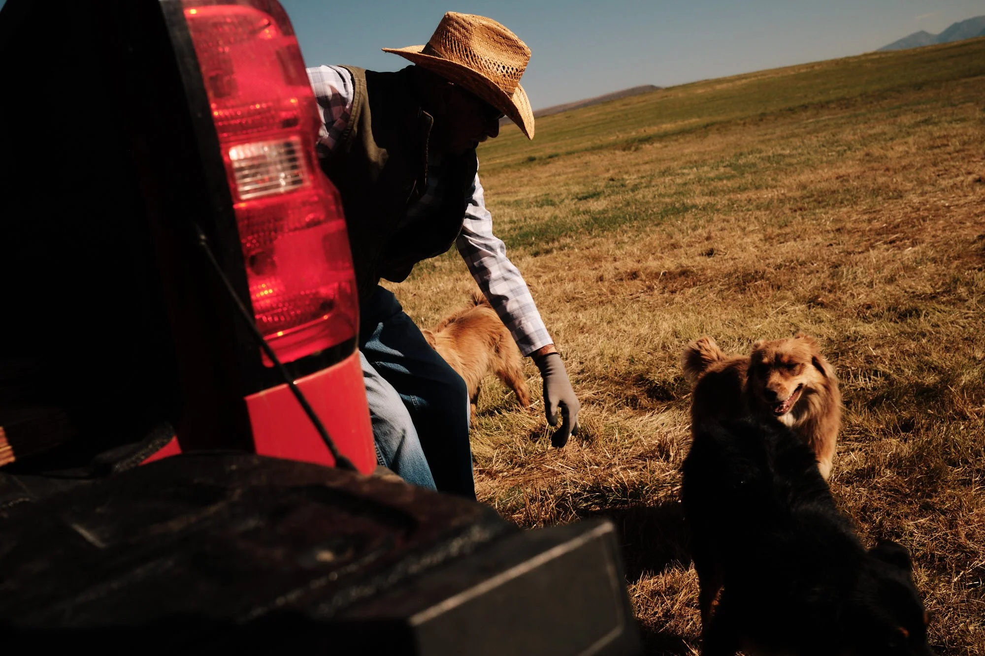 2025LifePhotos_20250901_RanchHayDay_1056_JPG Web Squarespace.jpg