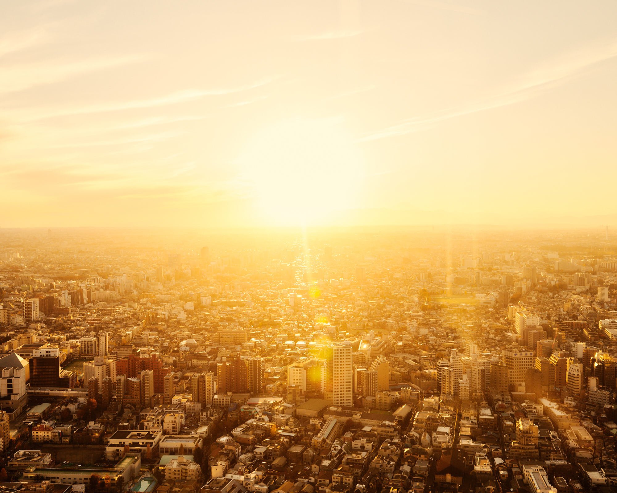 jfp_mpptokyo_2362_Web_JPG Web Squarespace.jpg