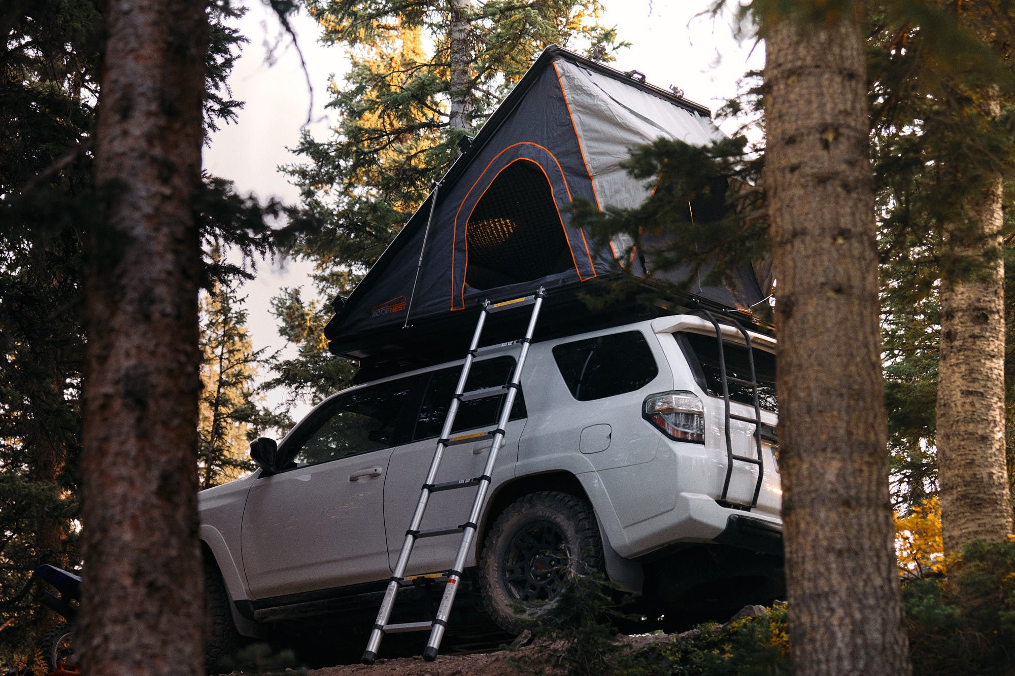 ROOFNEST