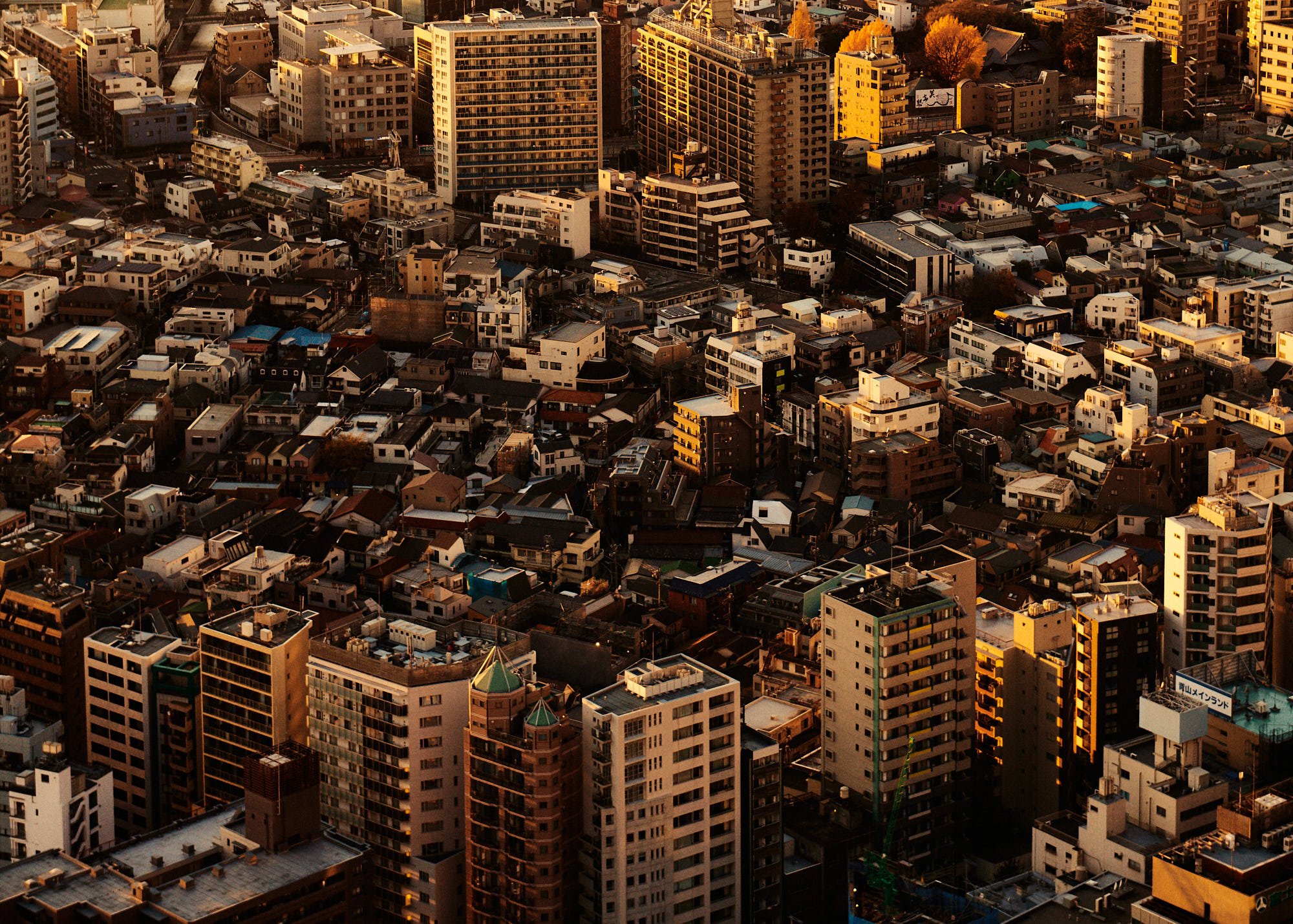 jfp_mpptokyo_2392_Web_JPG Web Squarespace.jpg