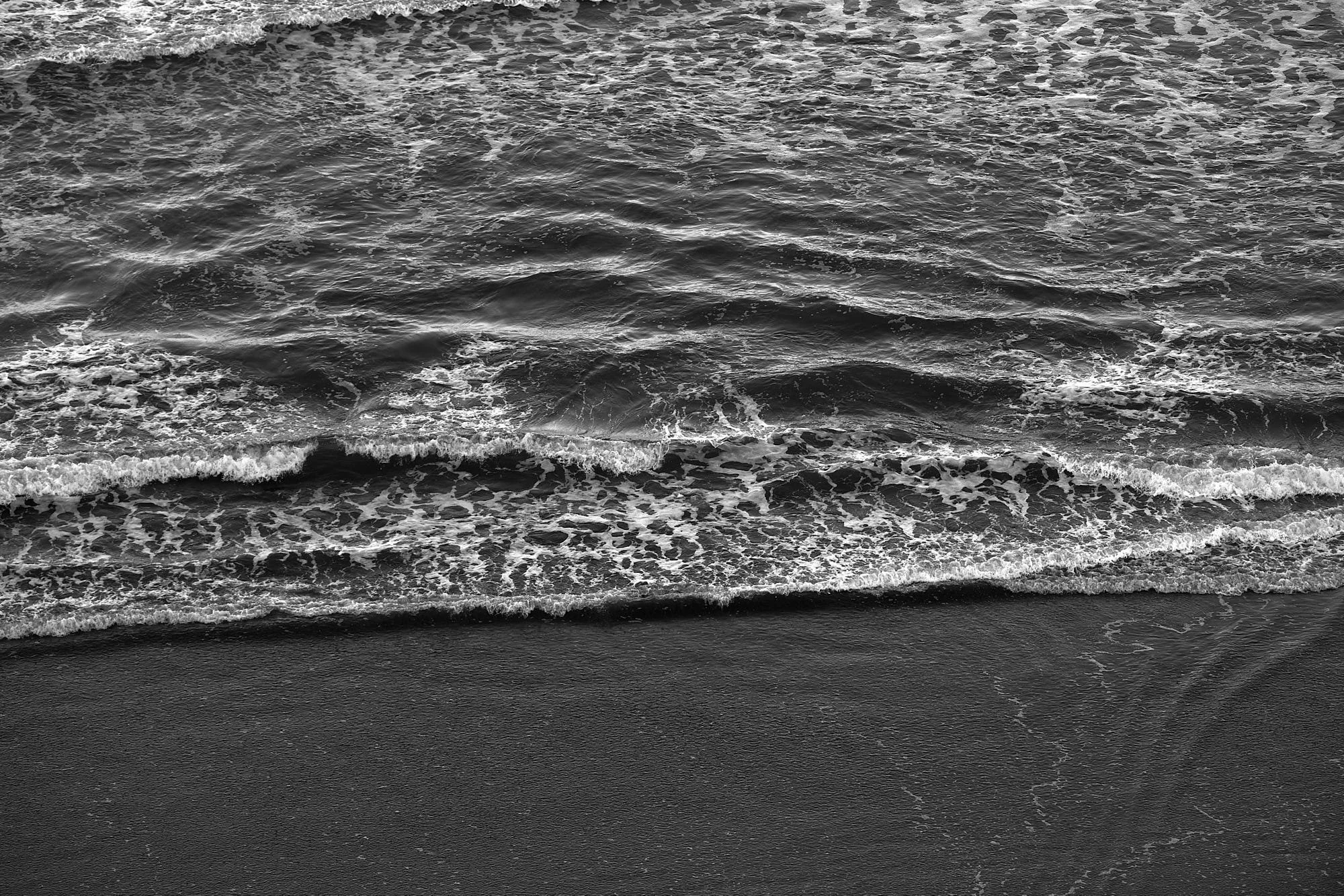 JFP_SF_MaximusParkmerced_xTESTx_2865_Web_JPG Web Squarespace.jpg