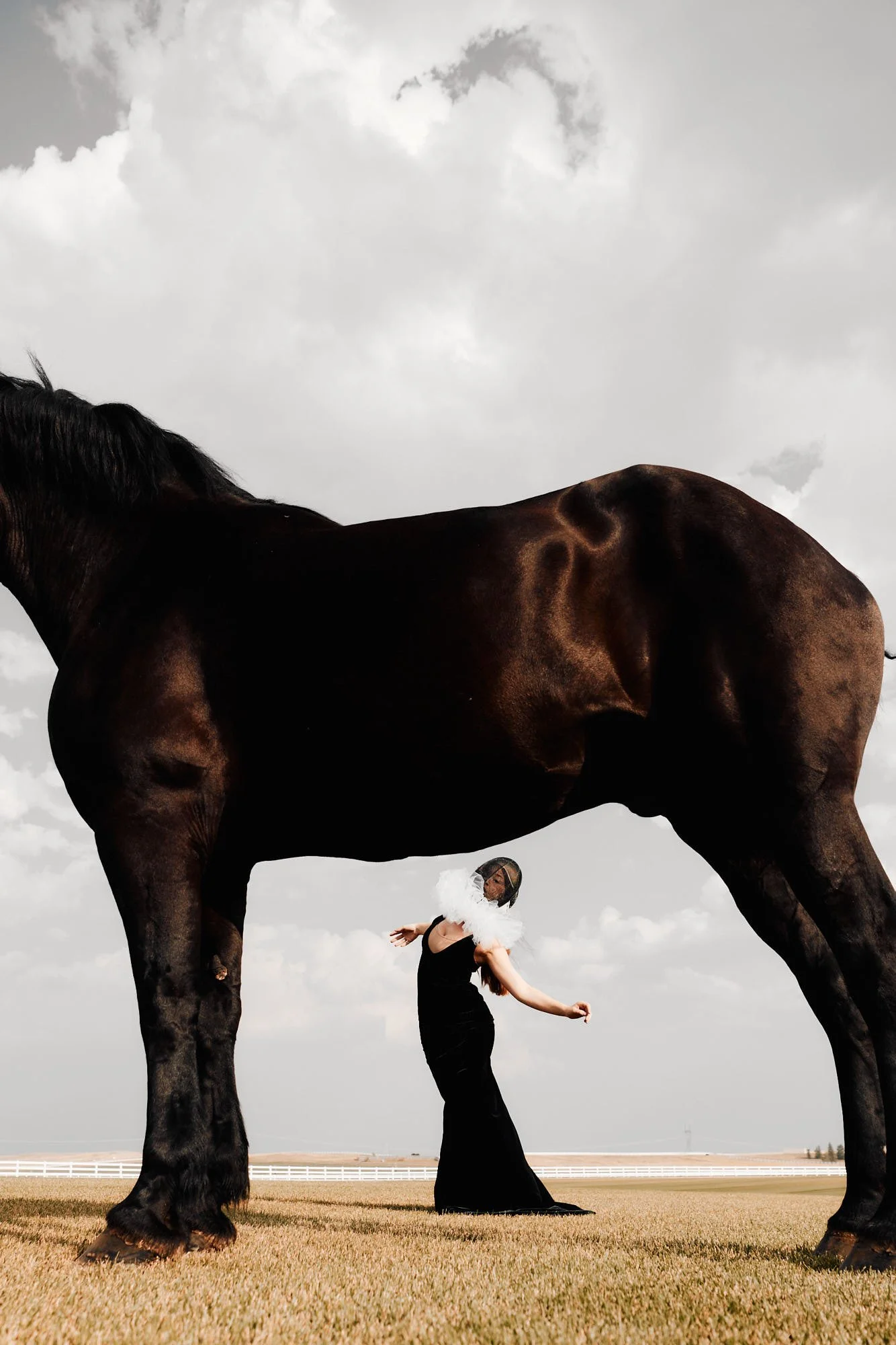 HOM Baroque_Capture_00994_Web_JPG Web Squarespace.jpg