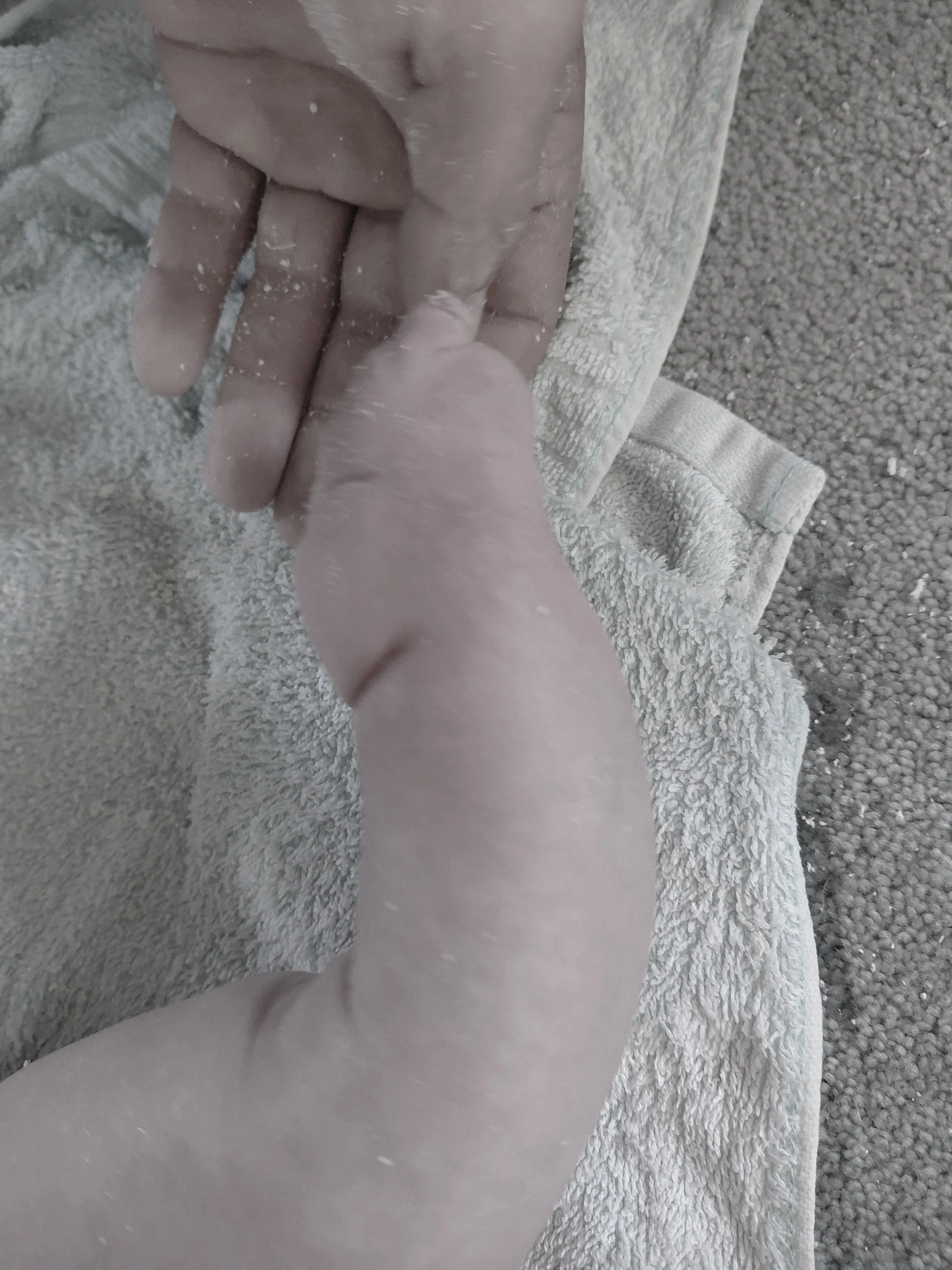 20251017_095031.jpg