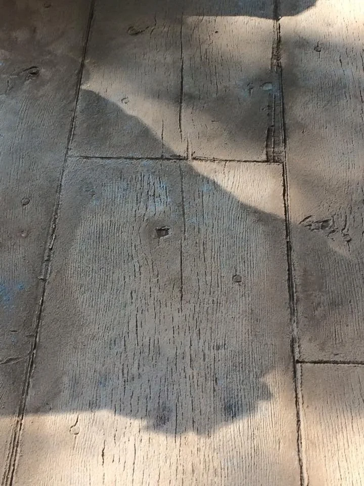 498568341_4049181518657923_876230691420877359_n.jpg
