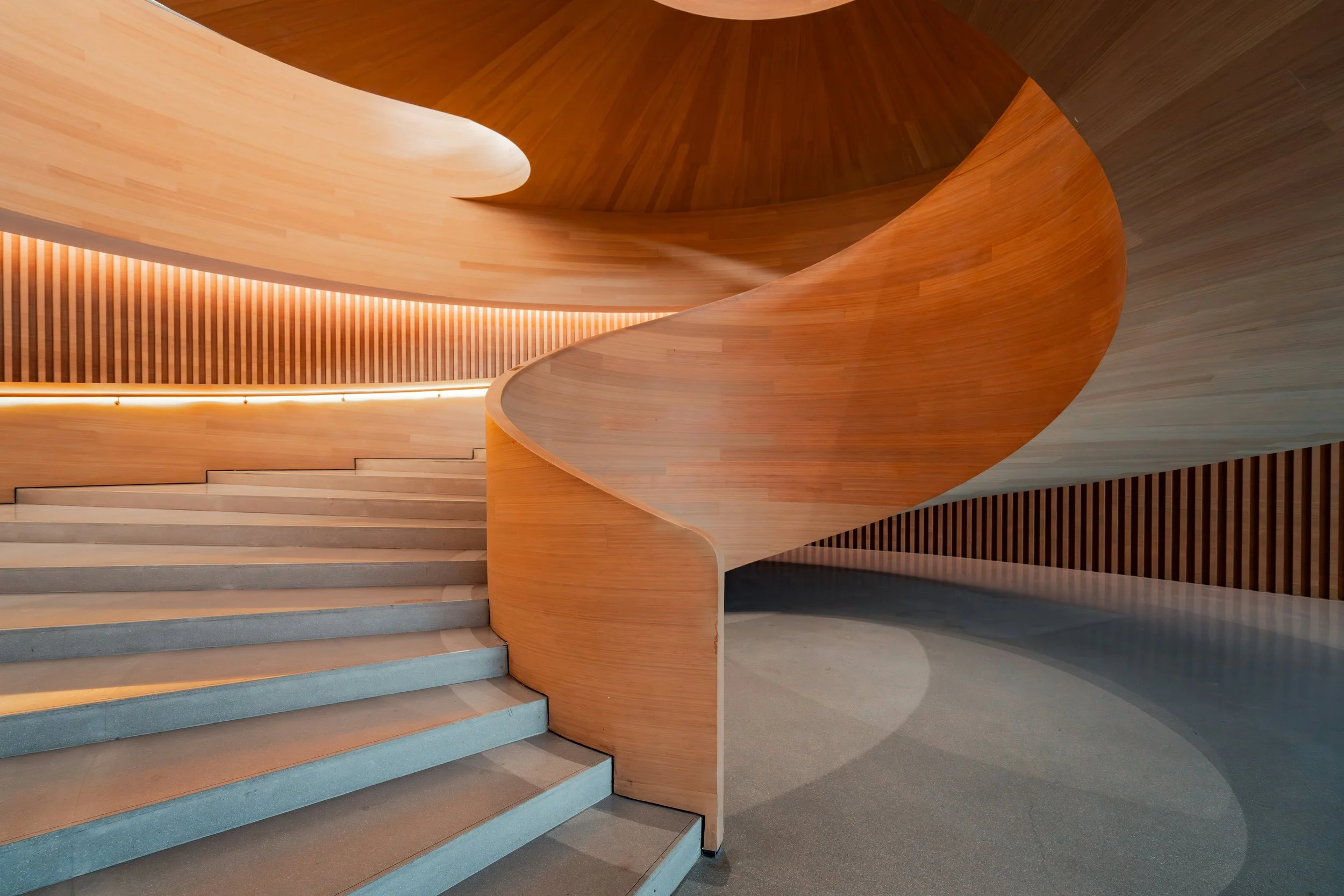 Curved concrete staircase with integrated wooden handrails and detailed wood accents, illuminated by inset lighting to highlight its sculptural design.