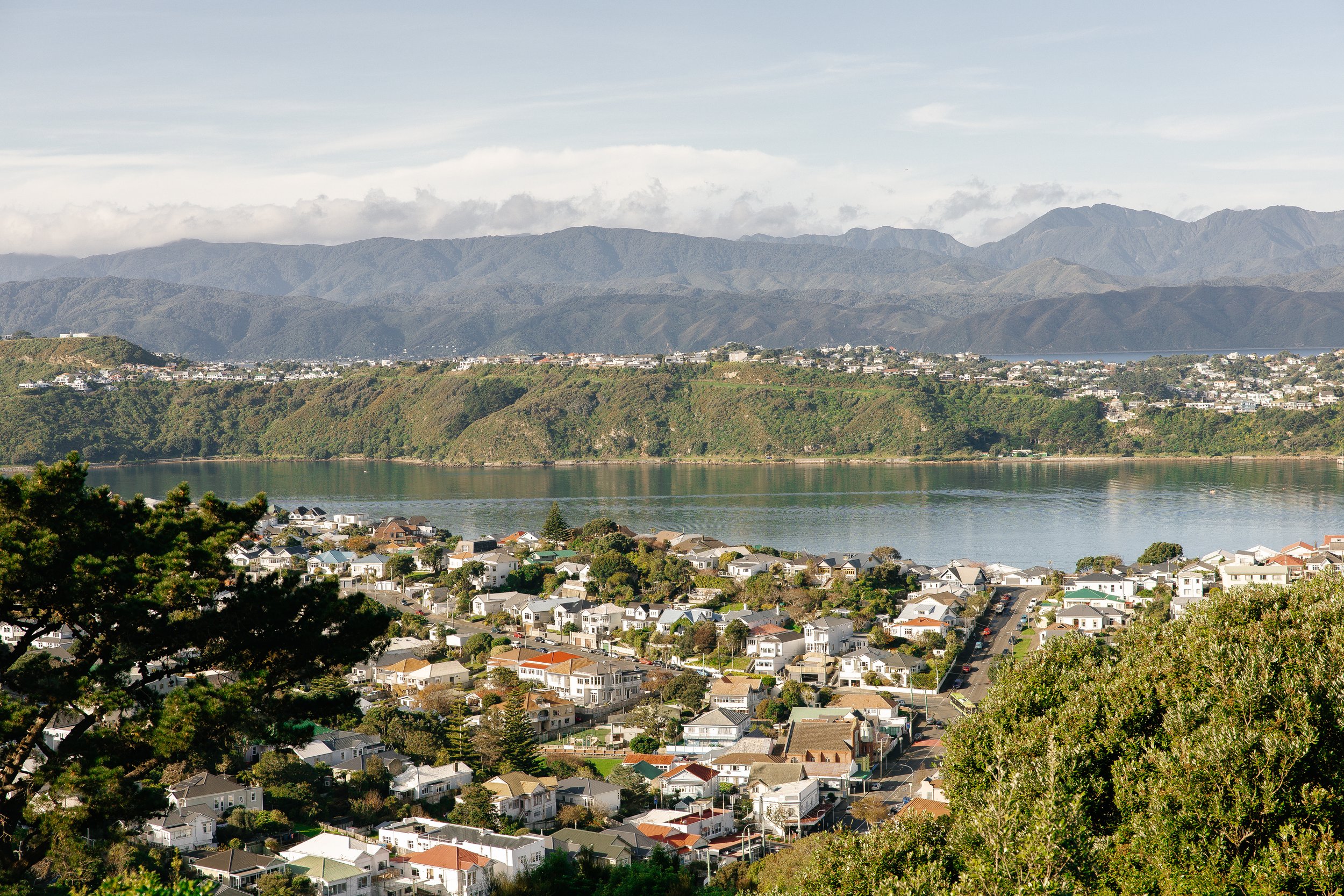 Aerial view of a residential area next to a body of water, with mountains in the background and trees in the foreground.