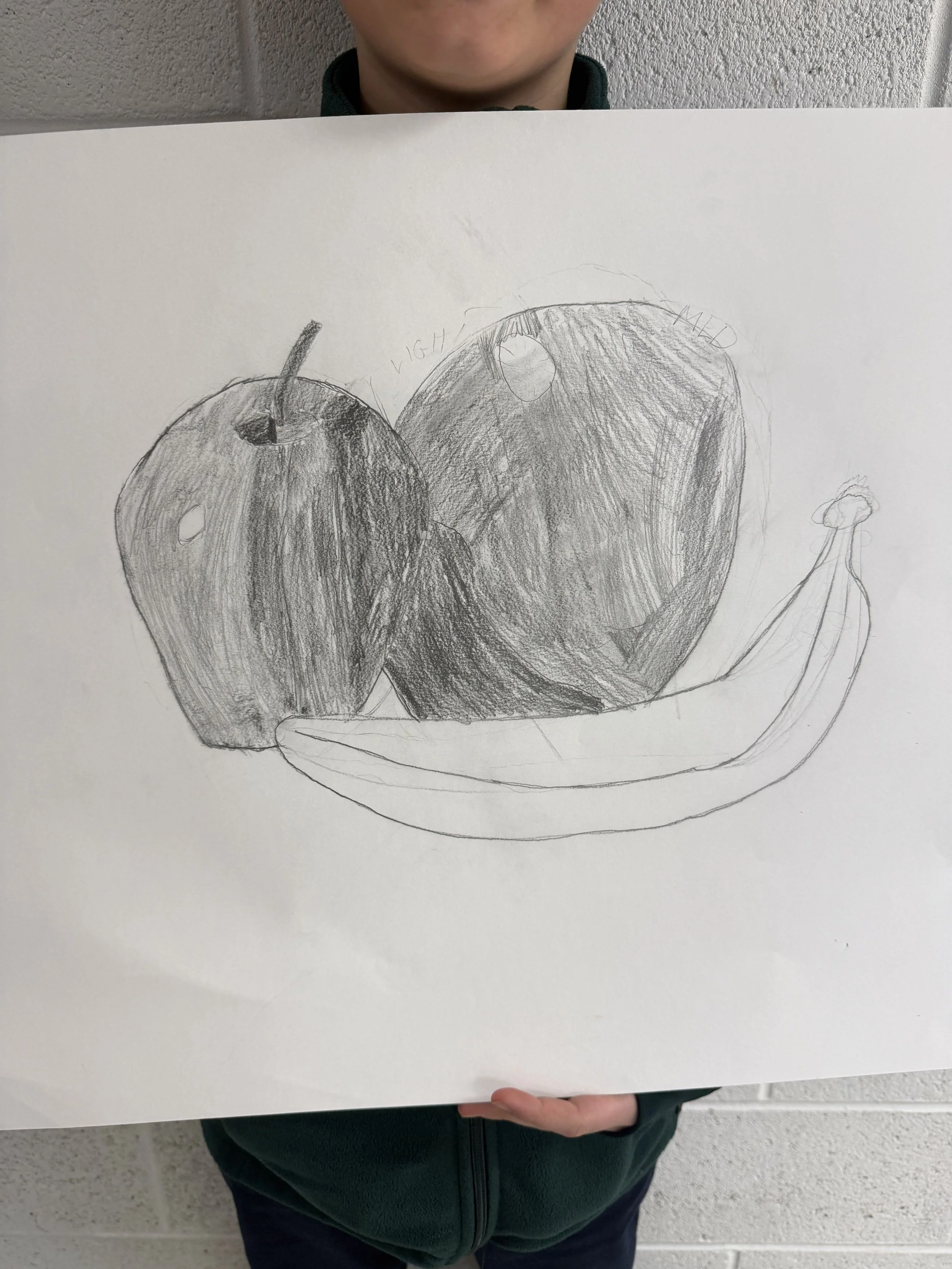 Hand-drawn sketch of a banana and two apples on a white sheet of paper, held by a person wearing a dark green jacket.