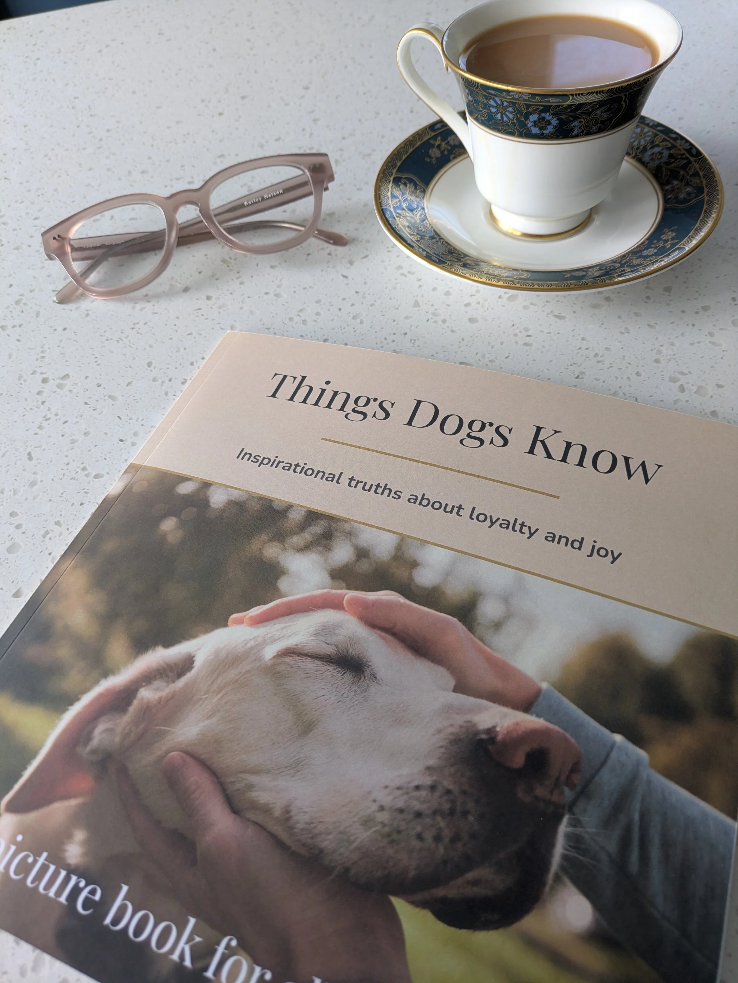 Gorgeous dog on cover of 'things dogs know 'book for dementia patients