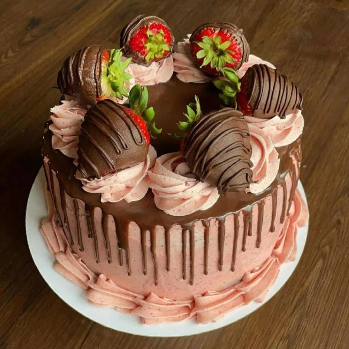 563456299_3227711640716742_4236708617042893478_n.jpg (Copy) (Copy) (Copy) (Copy)