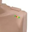 Lights.jpeg