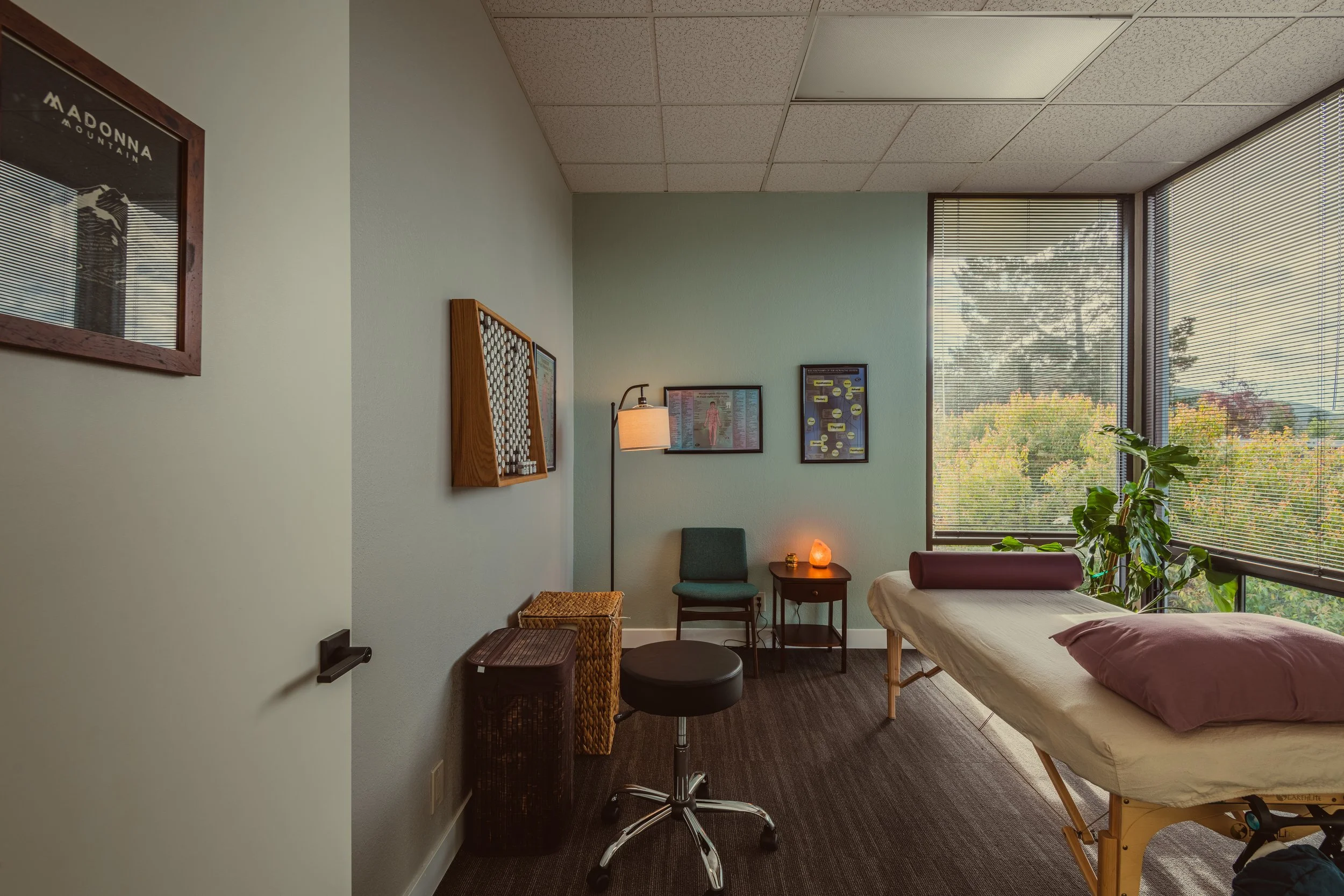 Peaceful acupuncture treatment room with soft lighting, plants, and a comfortable treatment bed designed to support healing, balance, and relaxation.