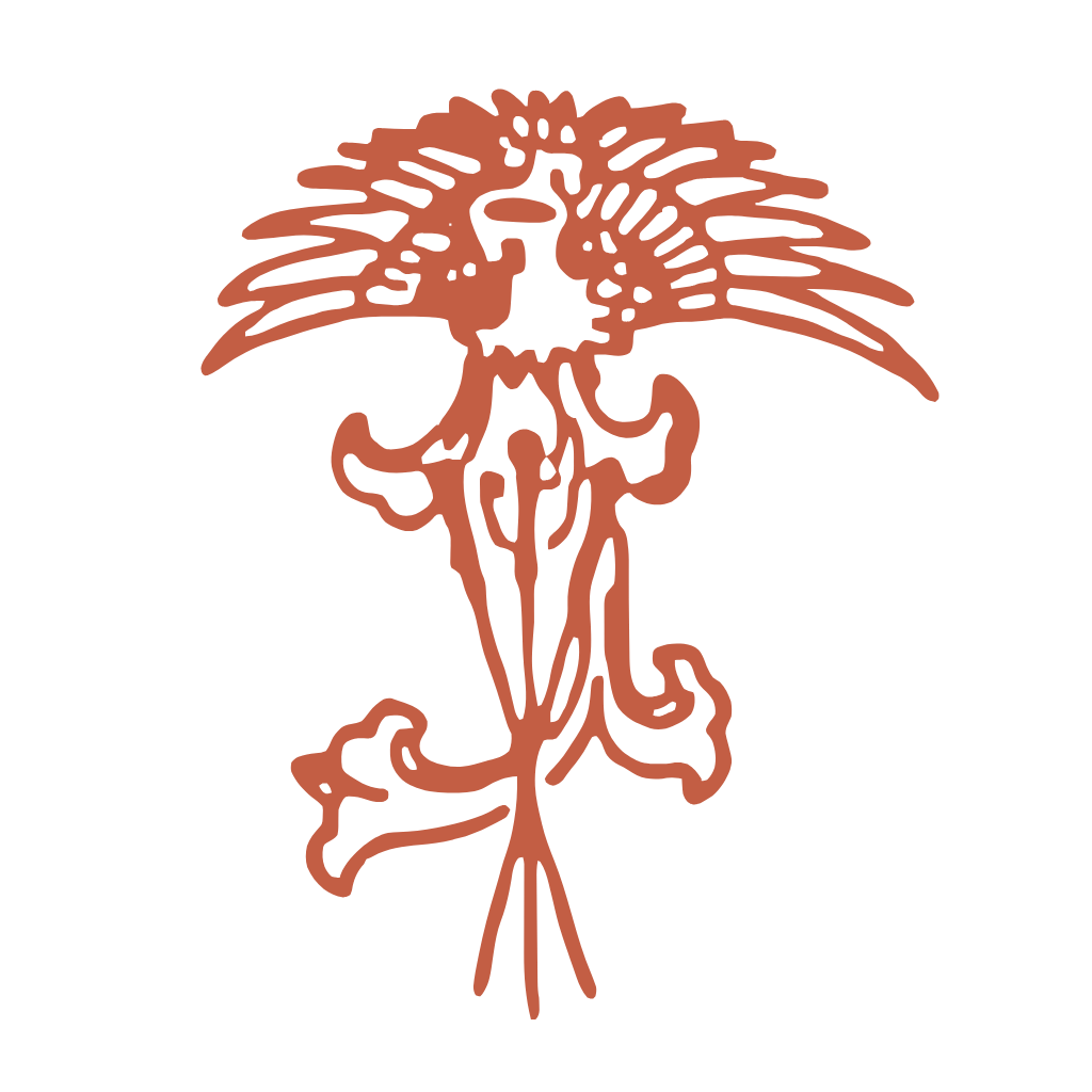 Center for Classical Chinese Medicine logo with text explaining the healing process and follow-up care after an acupuncture session.