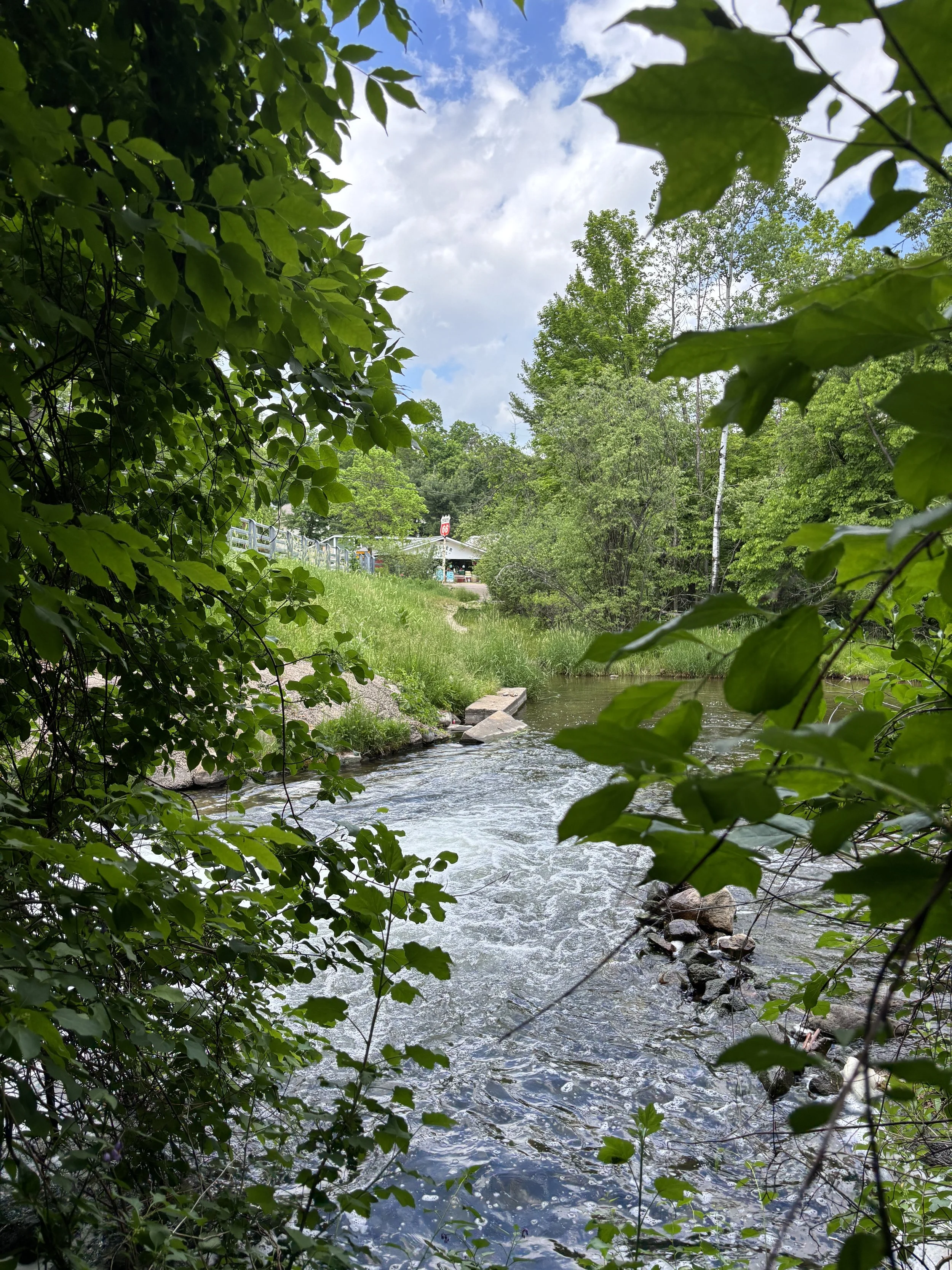 IMG_1299.JPG