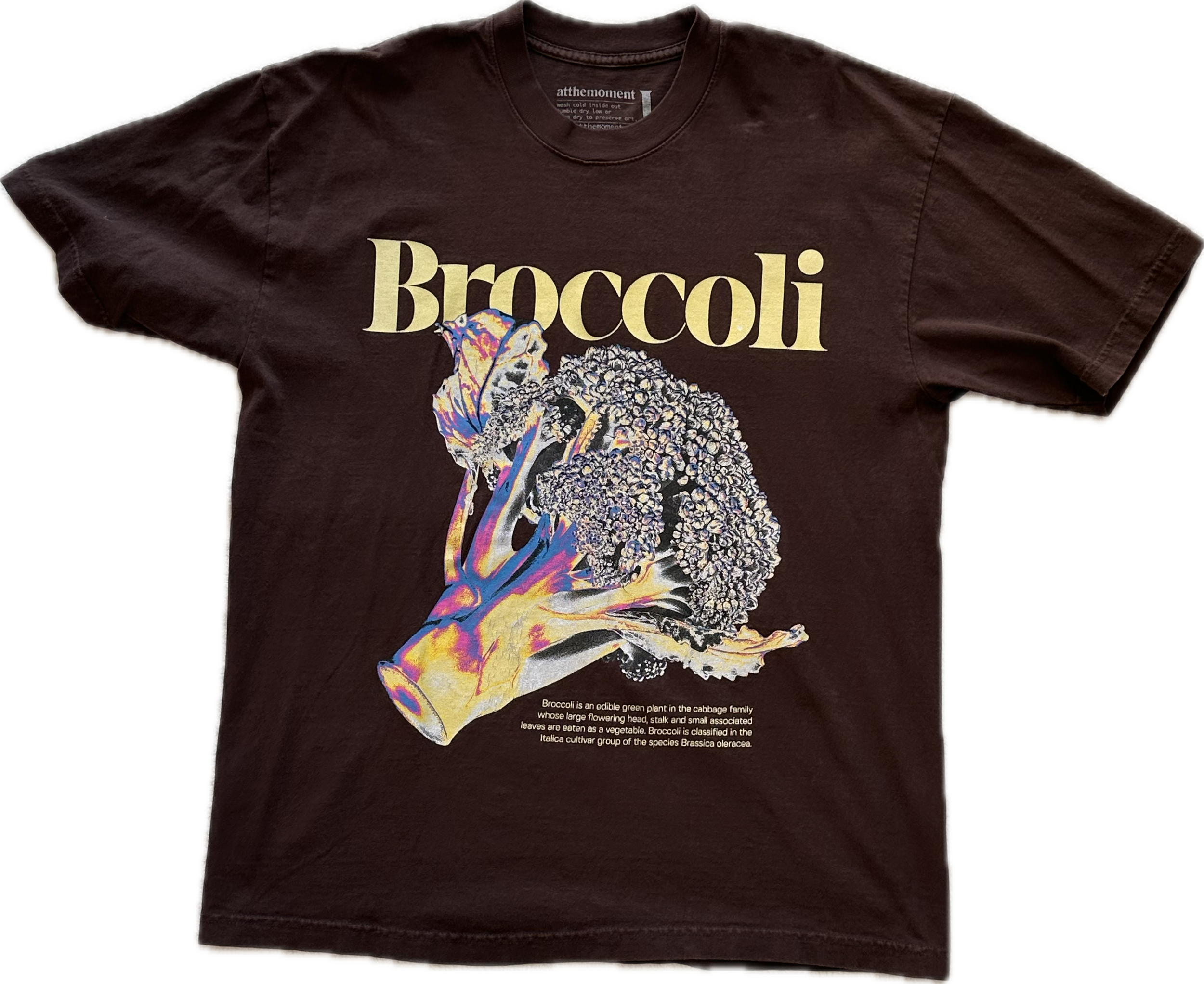 atthemoment broccoli tee
