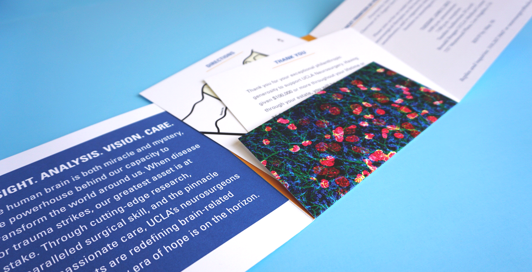 UCLA Neuro Gala4.png