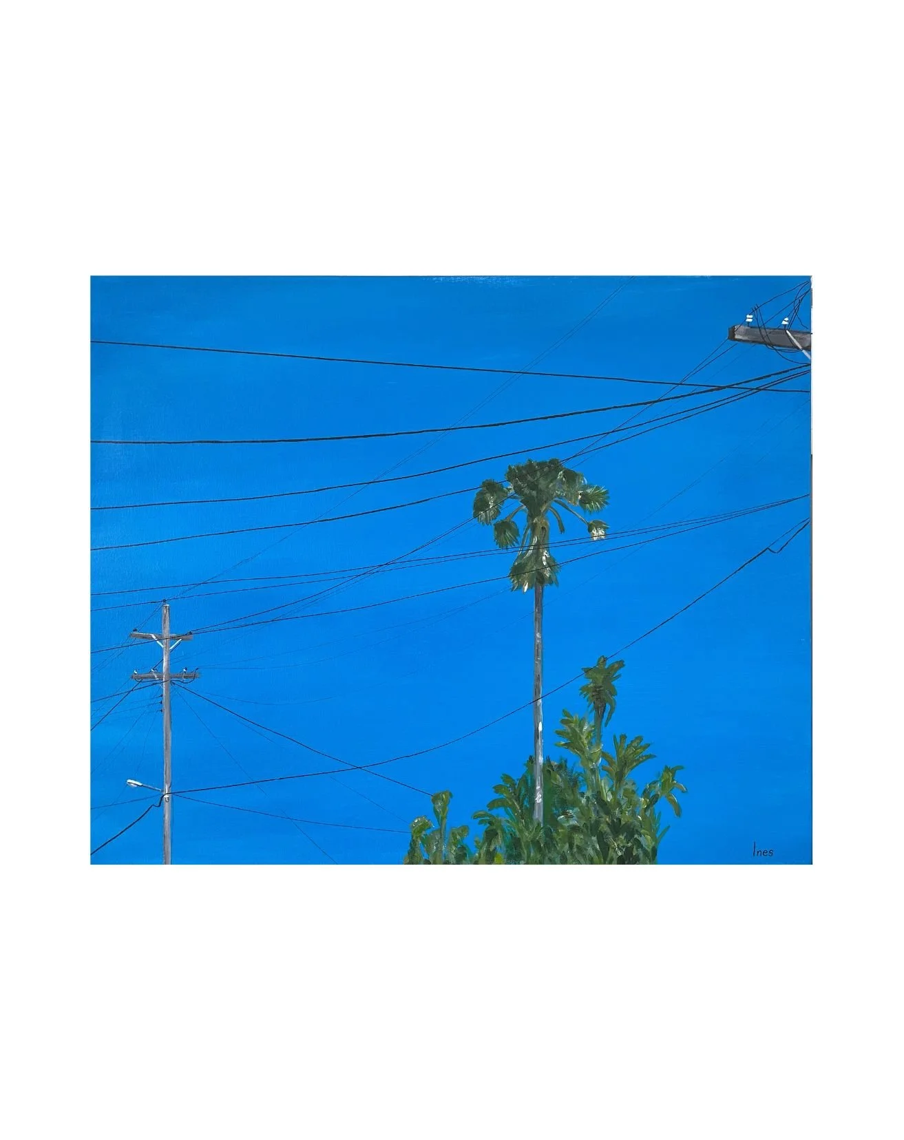 Blue Sky Power Lines