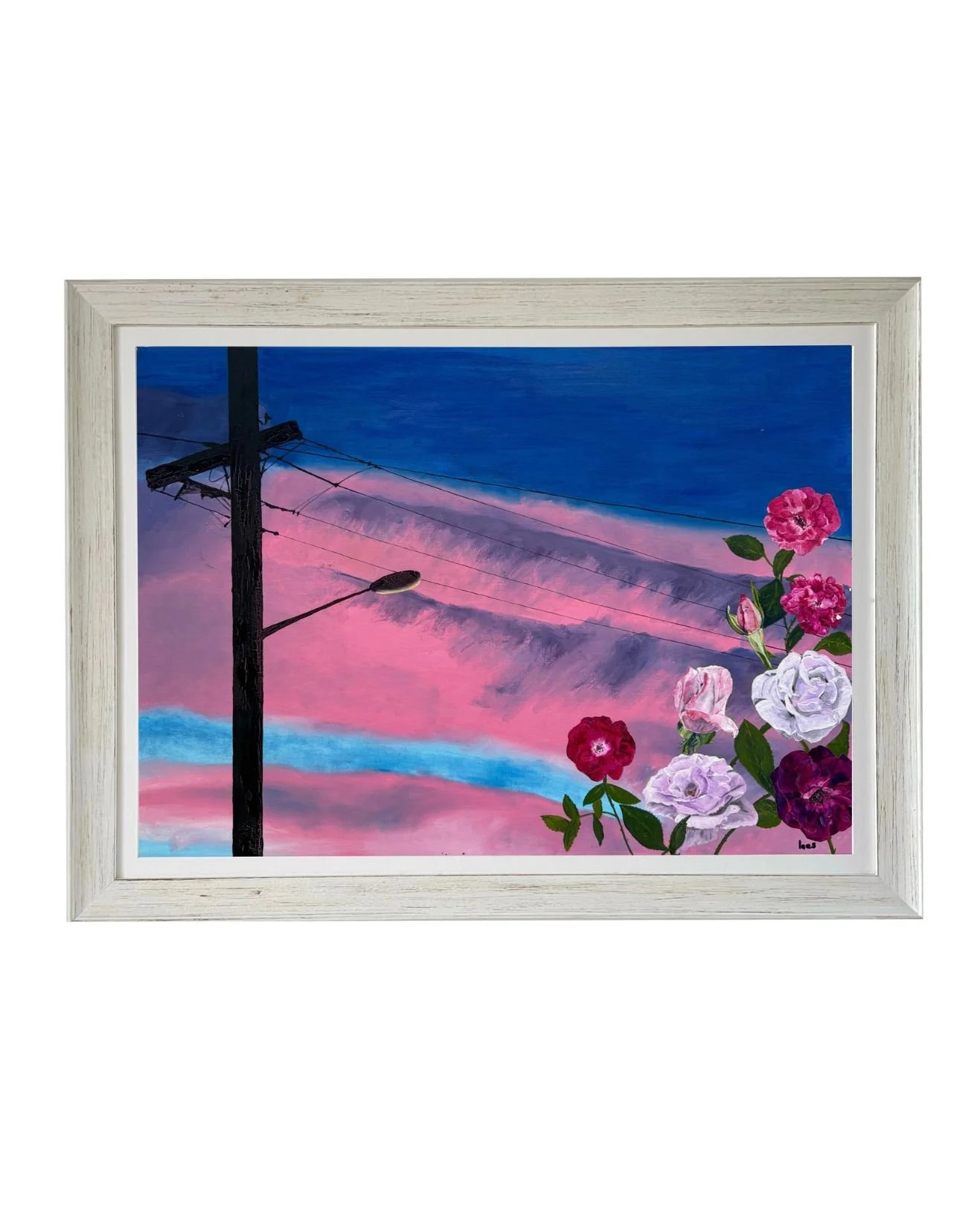 Roses and Telegraph Pole