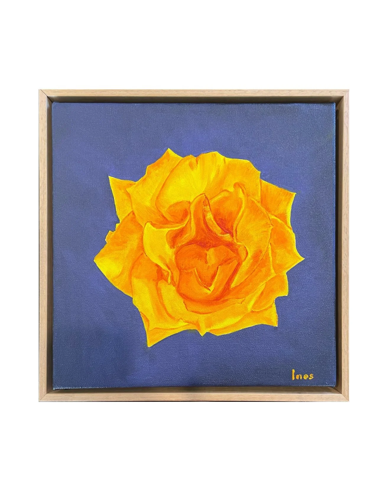 Yellow Rose
