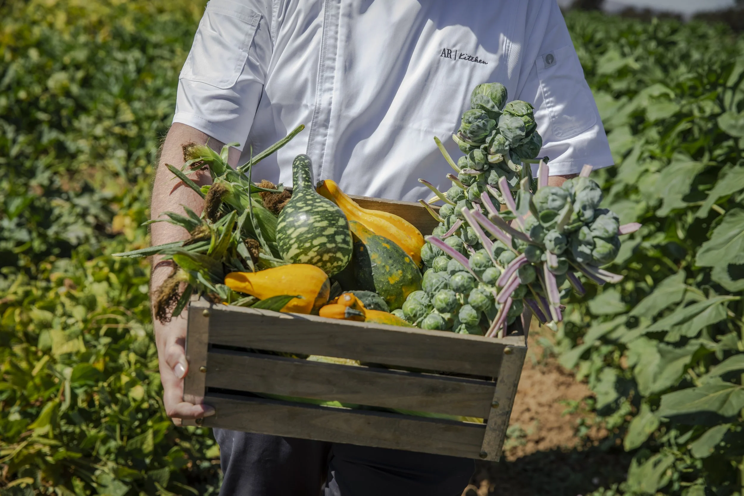 Beyond the Plate: Engineering a Zero-Impact Culinary Experience