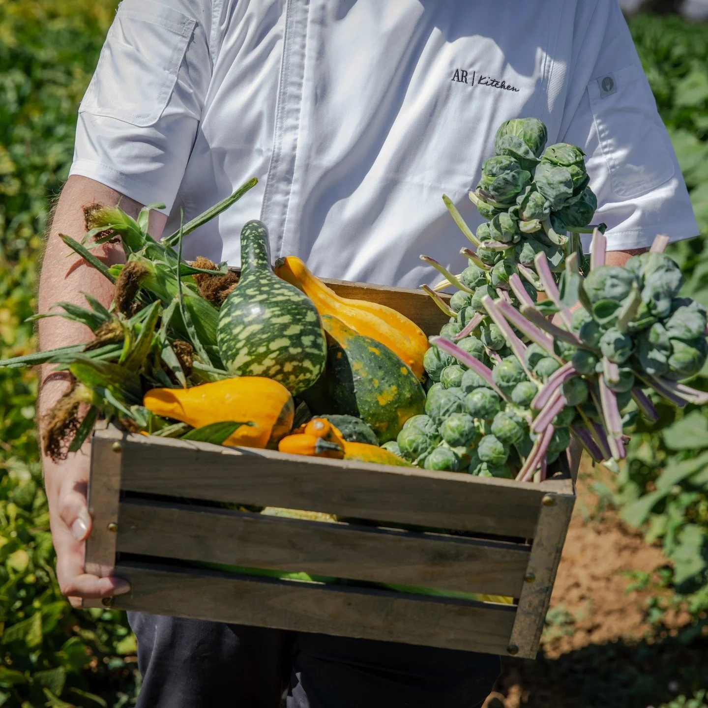 At AR Kitchen, Earth Day is an everyday engineering challenge. 🛠️🥗

We don&rsquo;t just talk about sustainability; we build it into our kitchens. Our secret? It&rsquo;s chef-led, not procurement-mandated. 

From sourcing the cleanest local ingredie