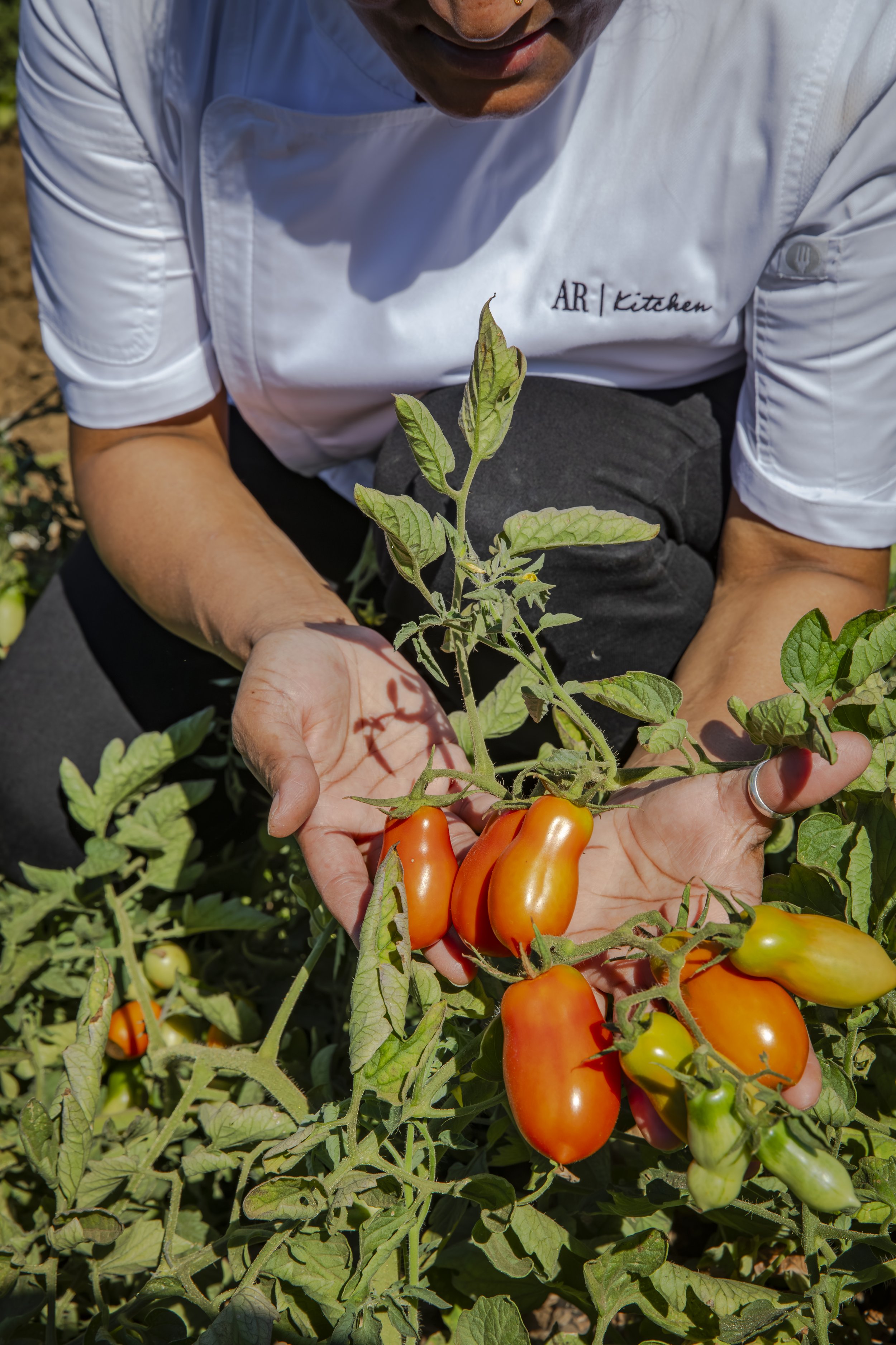 Freedom, Family, and the Fire: A Chef’s Perspective on the 4th of July