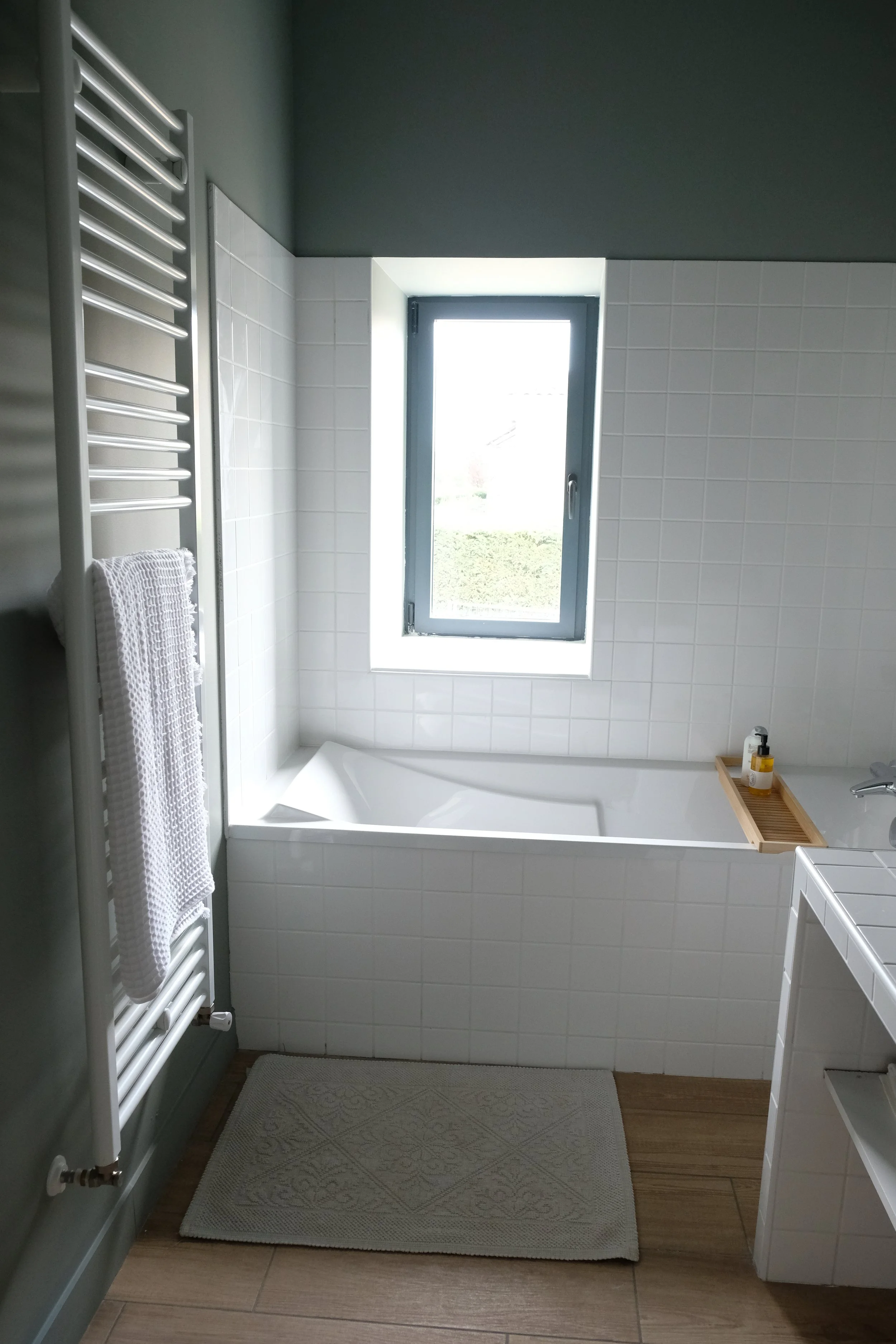 CHAMBRE SDB AMIS3.JPG