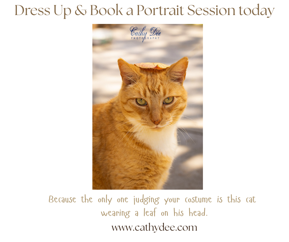  Dreaming Up Promotions 