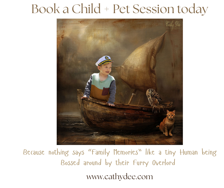 Advert for portrait session