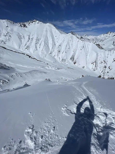 sled skiing is 1/3 of the price of heliskiing, same vertical